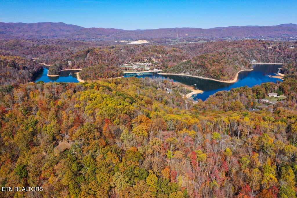 Norris Lake Real Estate - Image# 7