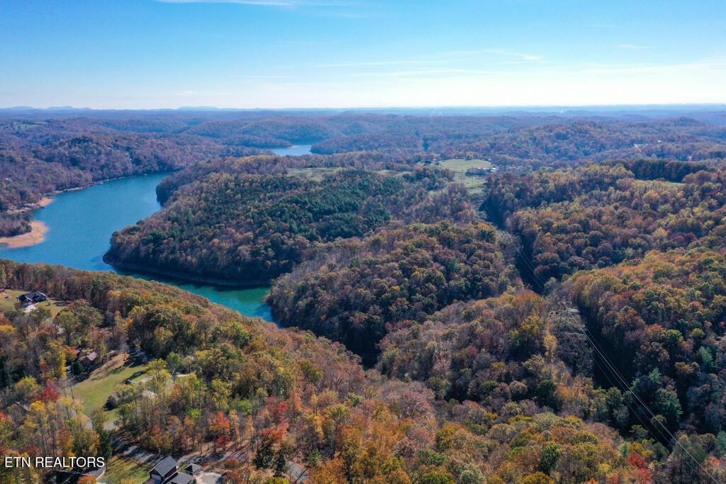 Norris Lake Real Estate - Image# 8