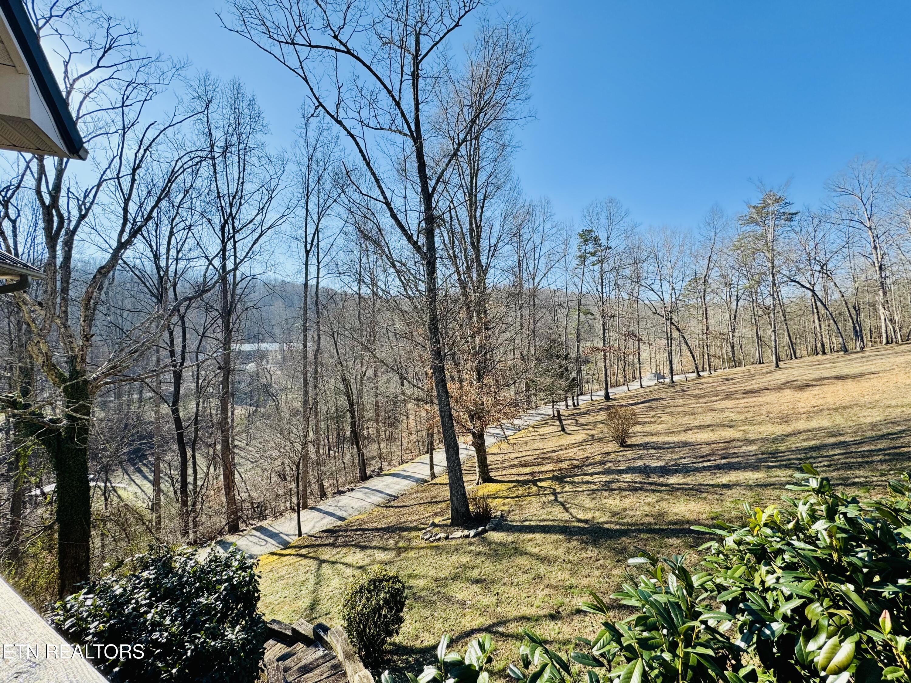 Norris Lake Real Estate - Image# 7