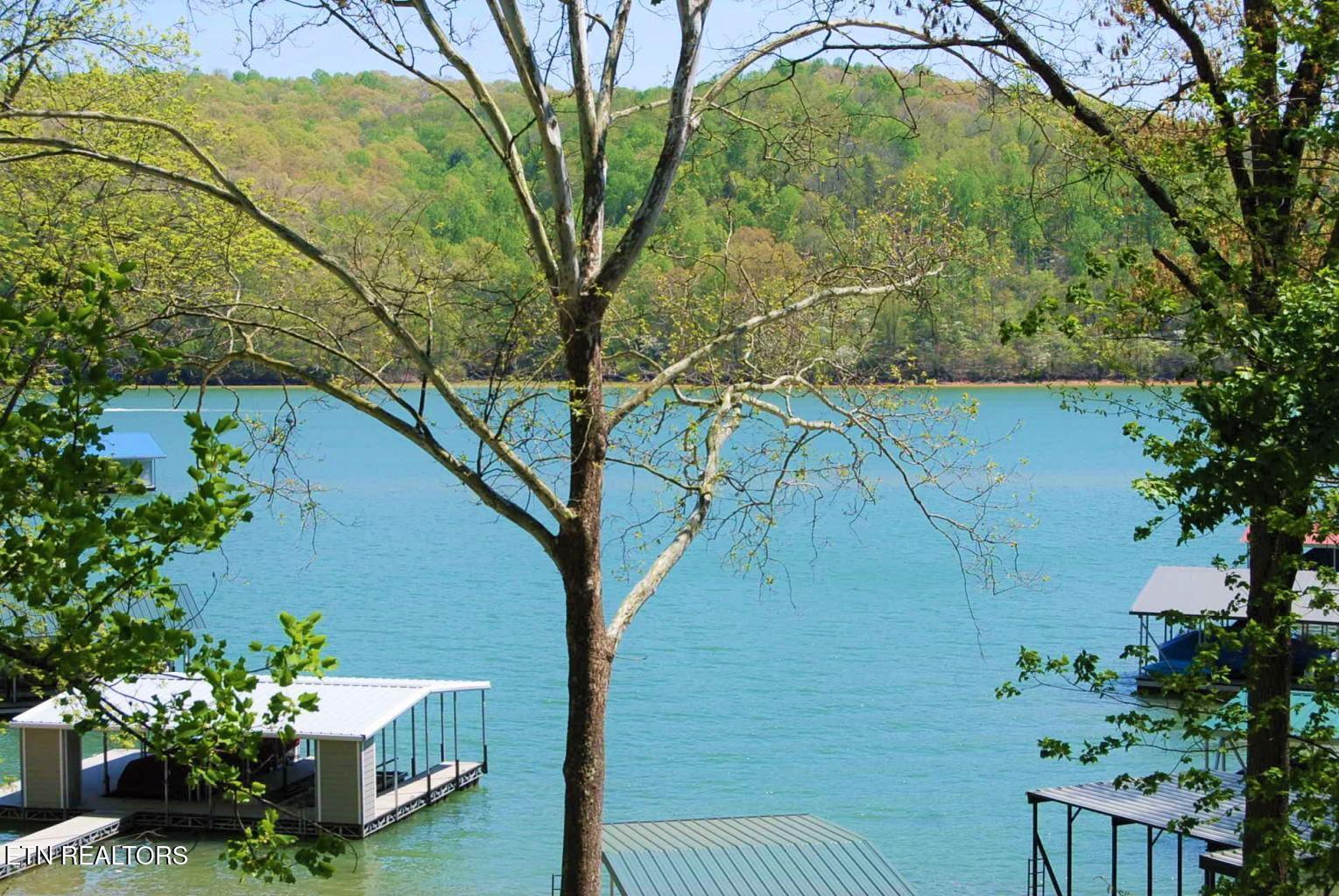 Norris Lake Real Estate - Image# 7