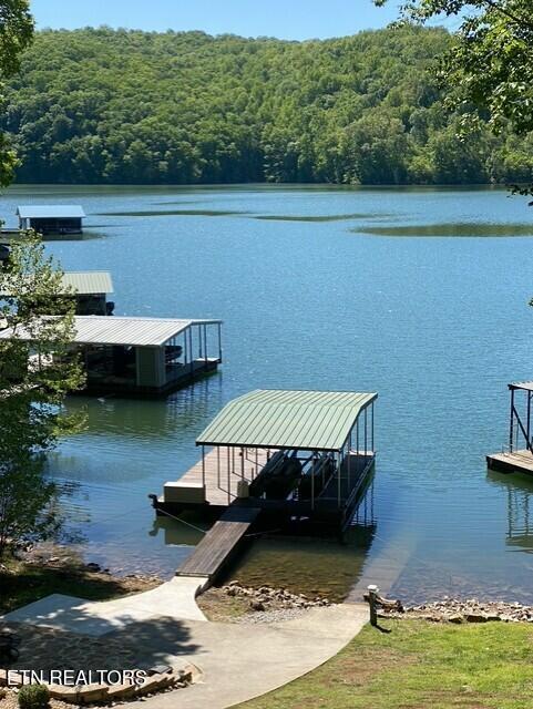 Norris Lake Real Estate - Image# 11