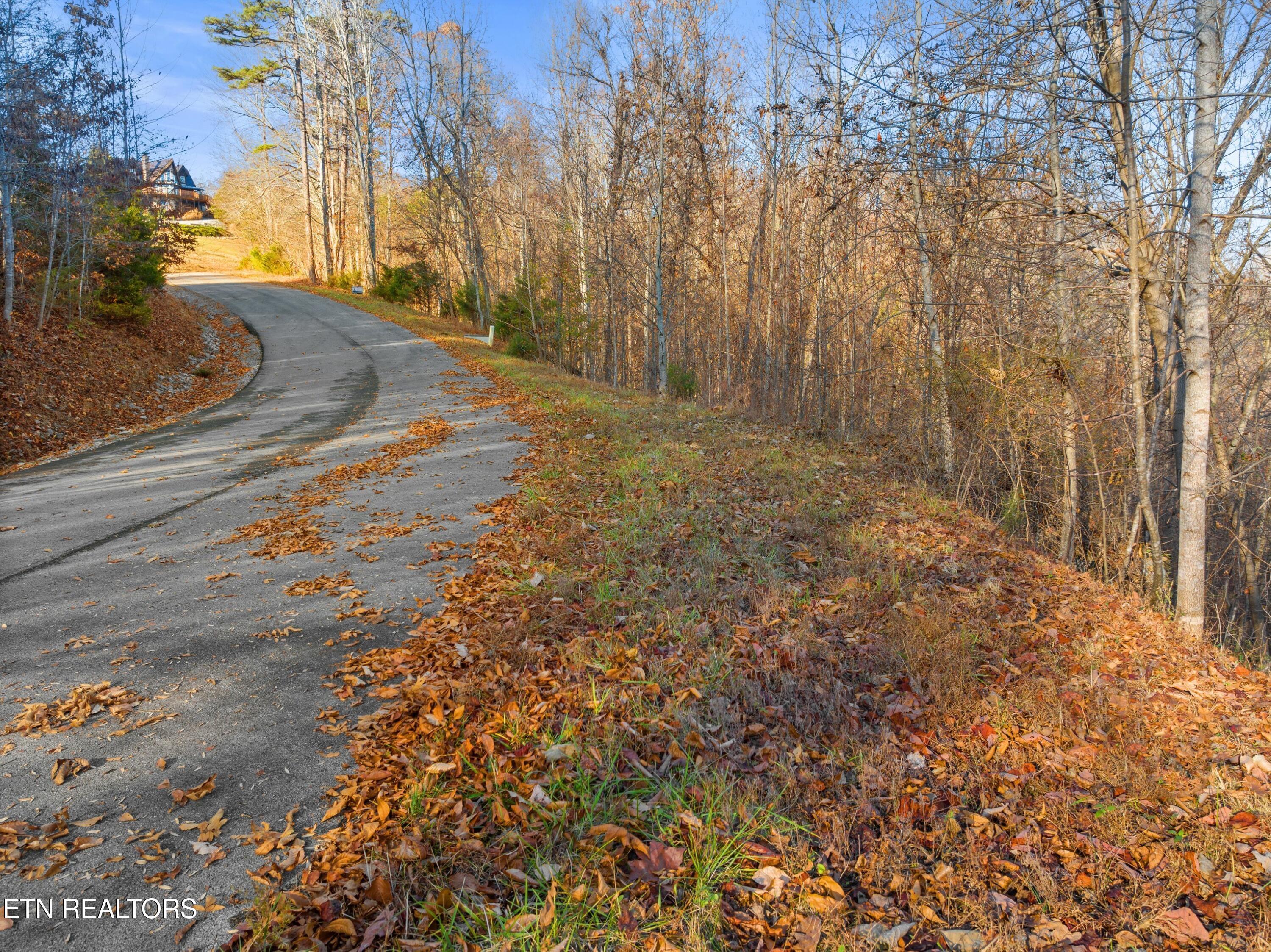 Norris Lake Real Estate - Image# 10