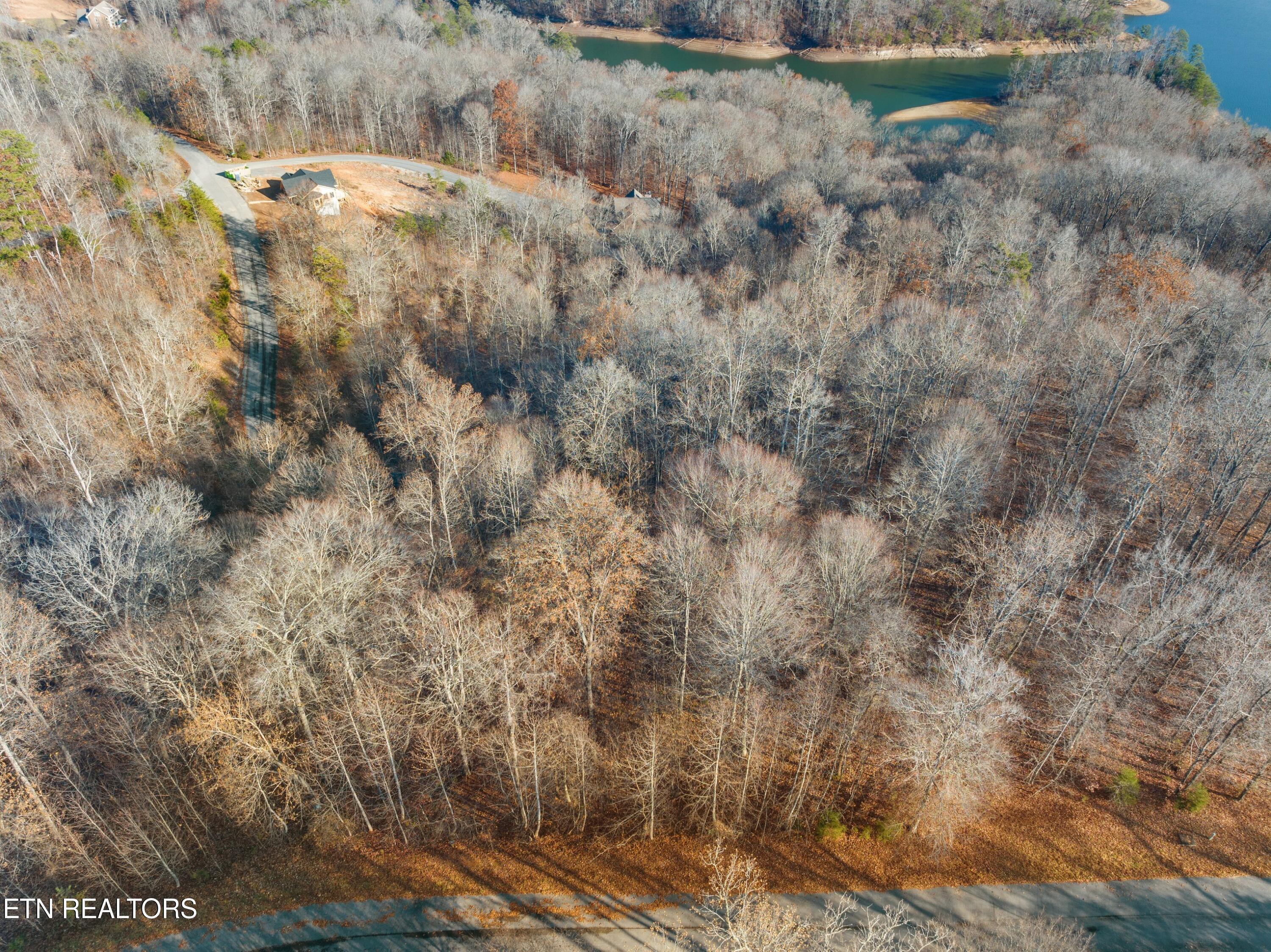 Norris Lake Real Estate - Image# 23