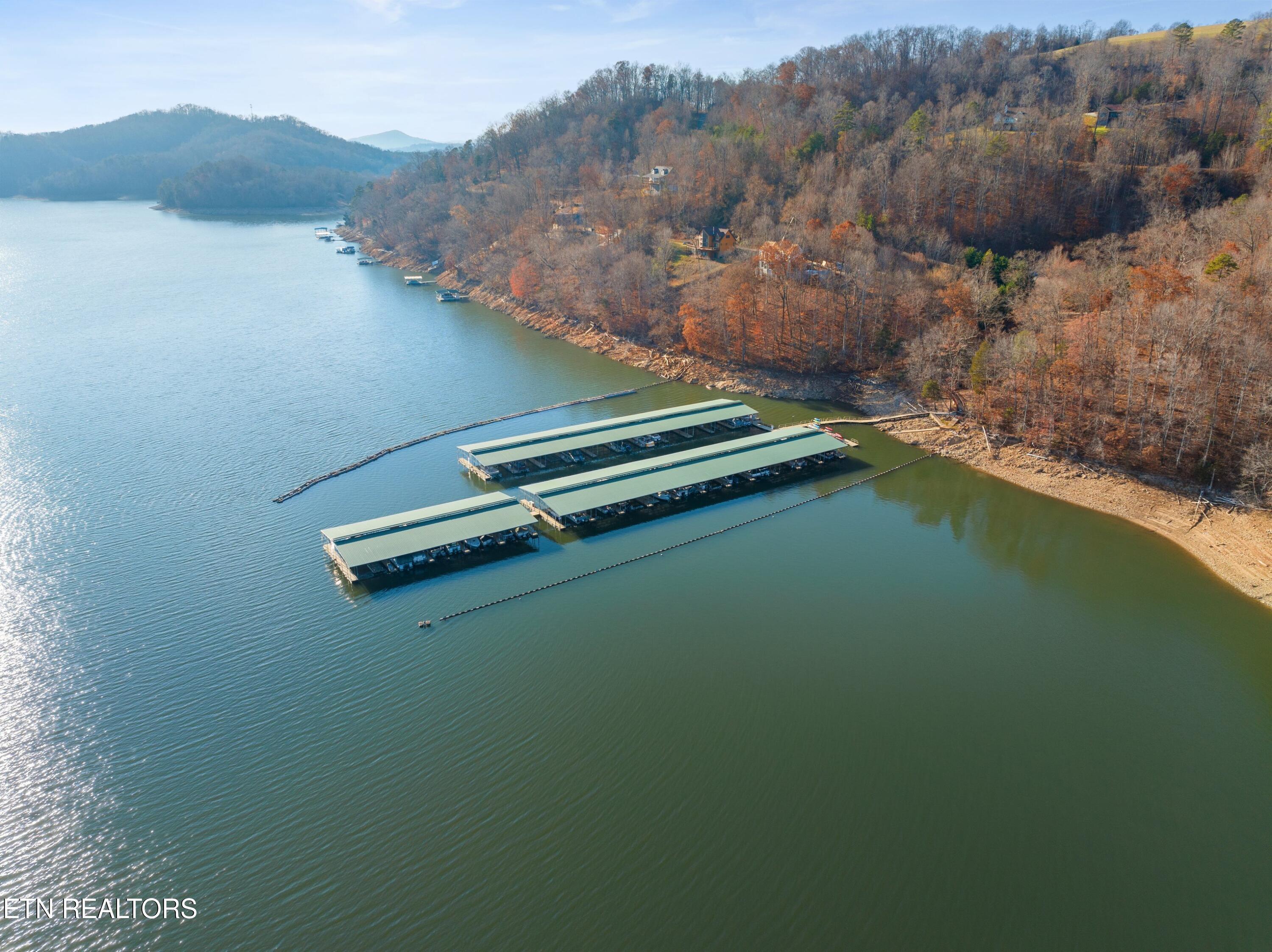 Norris Lake Real Estate - Image# 16