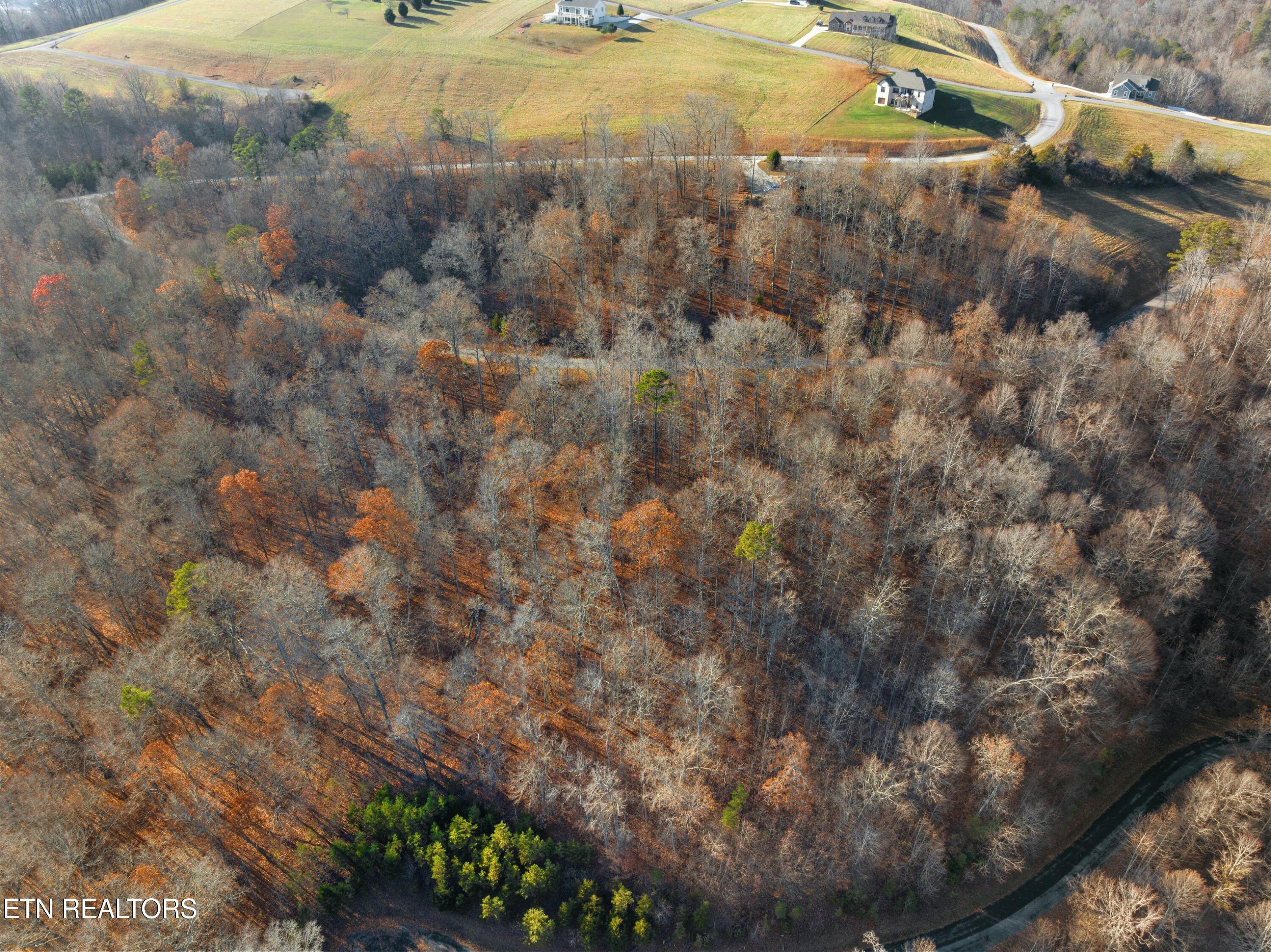 Norris Lake Real Estate - Image# 21