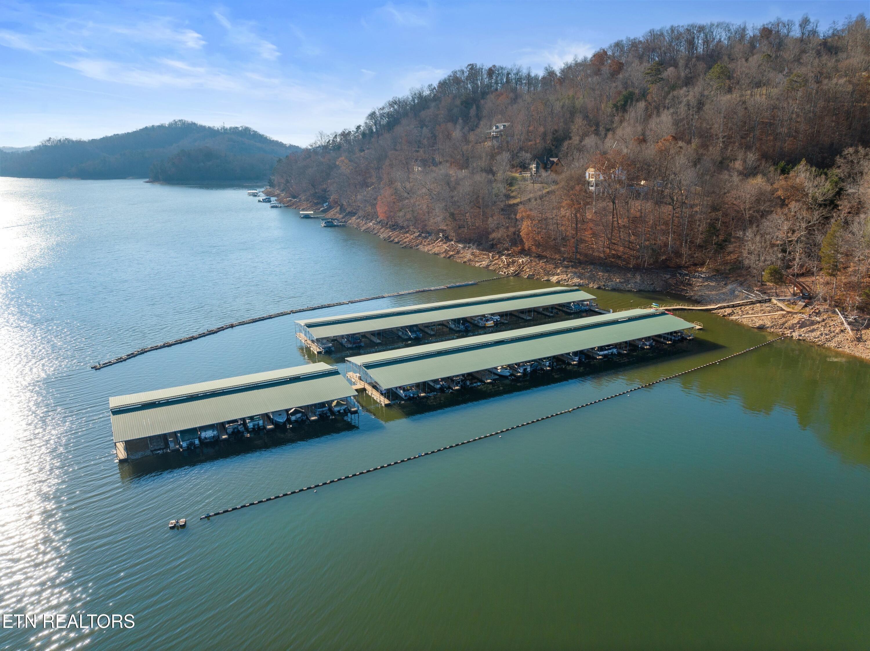 Norris Lake Real Estate - Image# 19