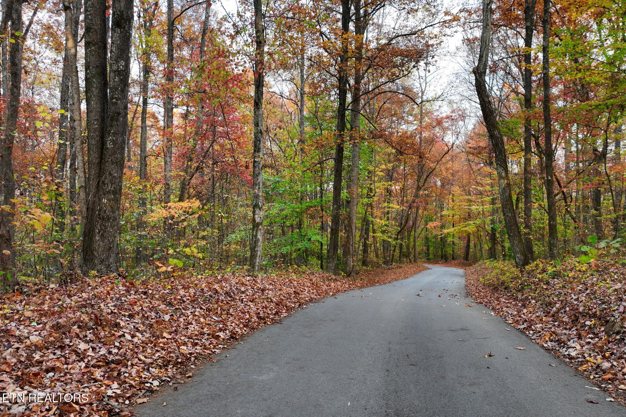 Norris Lake Real Estate - Image# 9