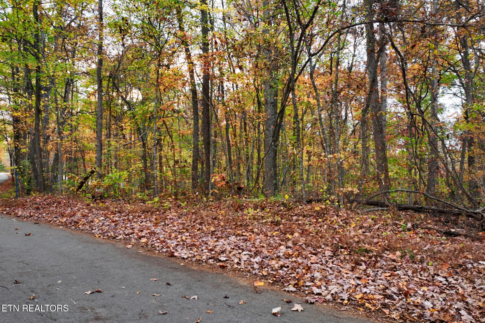 Norris Lake Real Estate - Image# 3