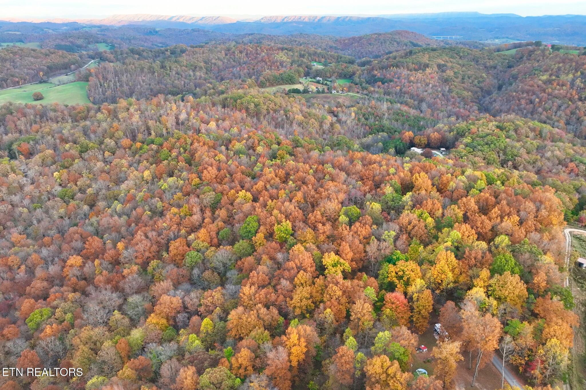 Norris Lake Real Estate - Image# 5