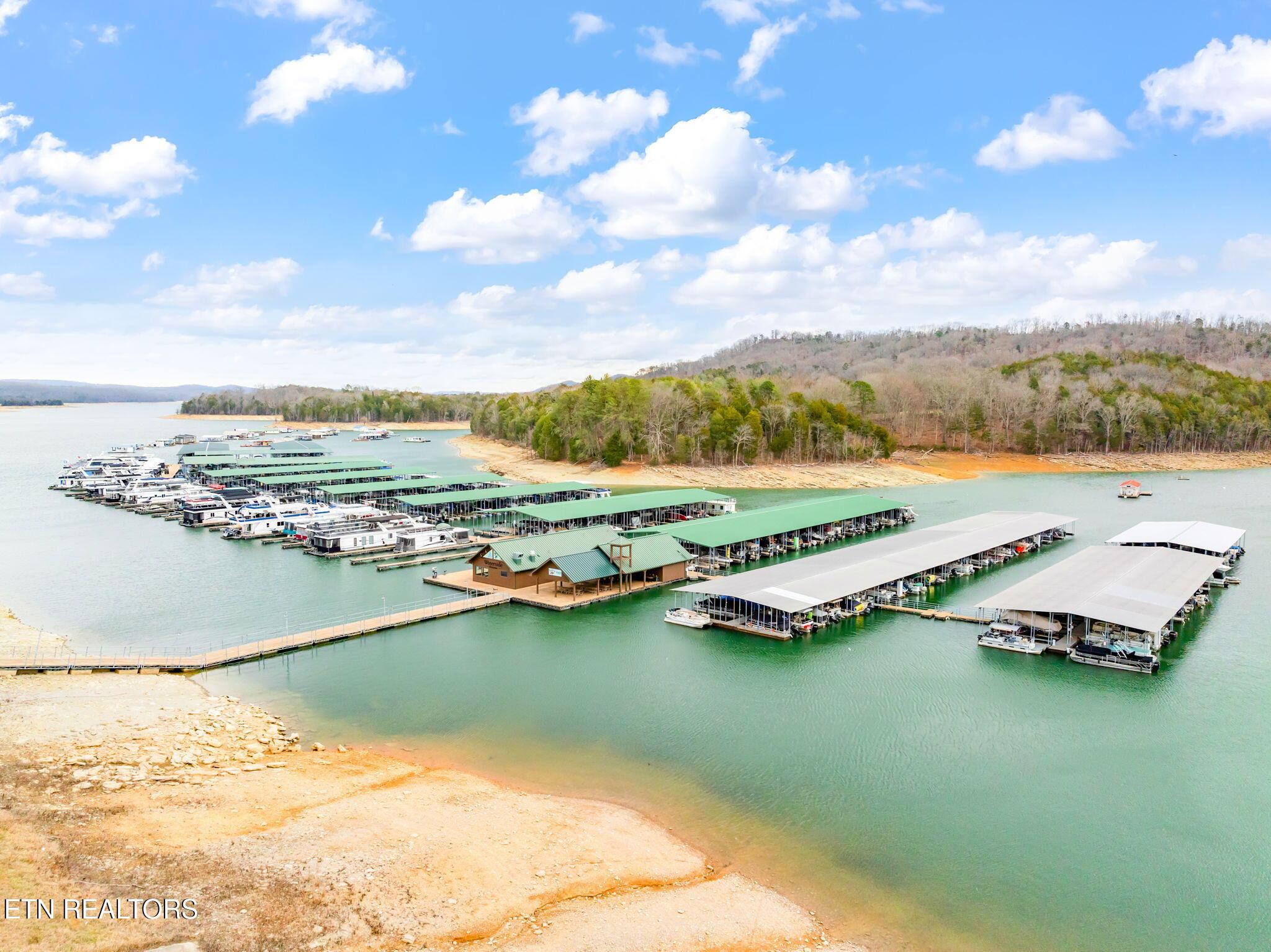 Norris Lake Real Estate - Image# 50