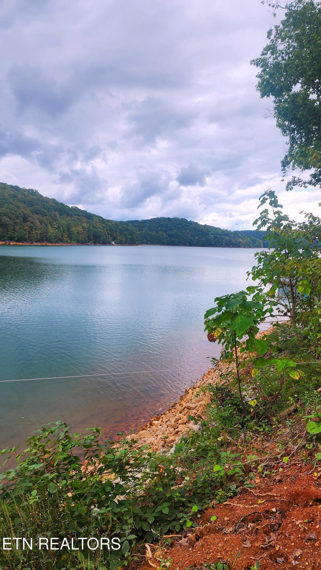 Norris Lake Real Estate - Image# 4