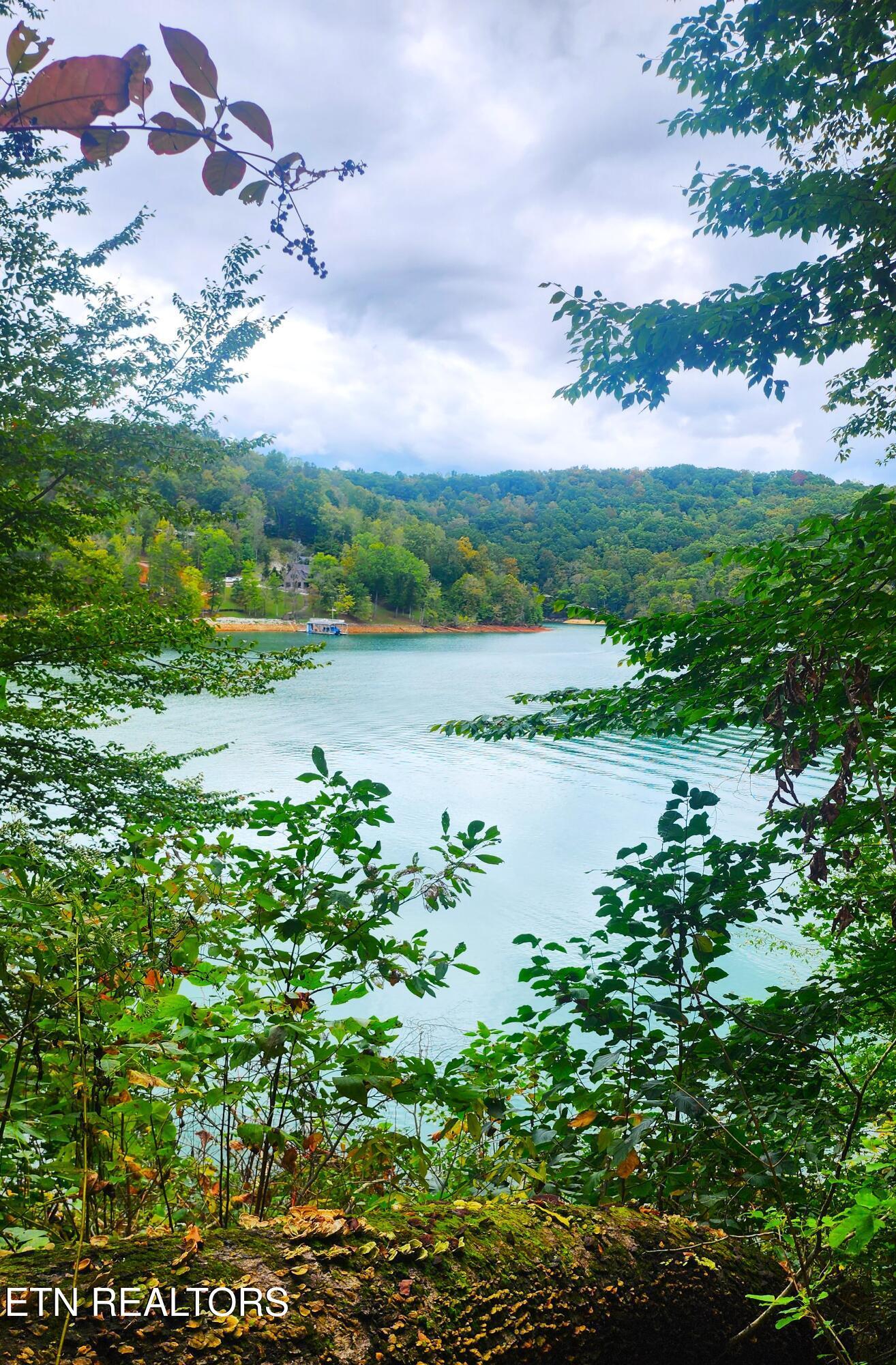 Norris Lake Real Estate - Image# 11