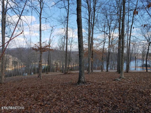 Norris Lake Real Estate - Image# 17