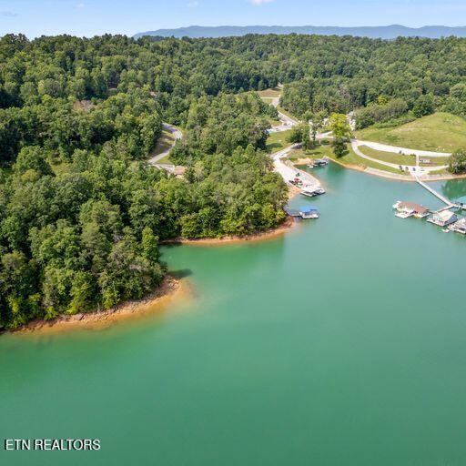 Norris Lake Real Estate - Image# 6