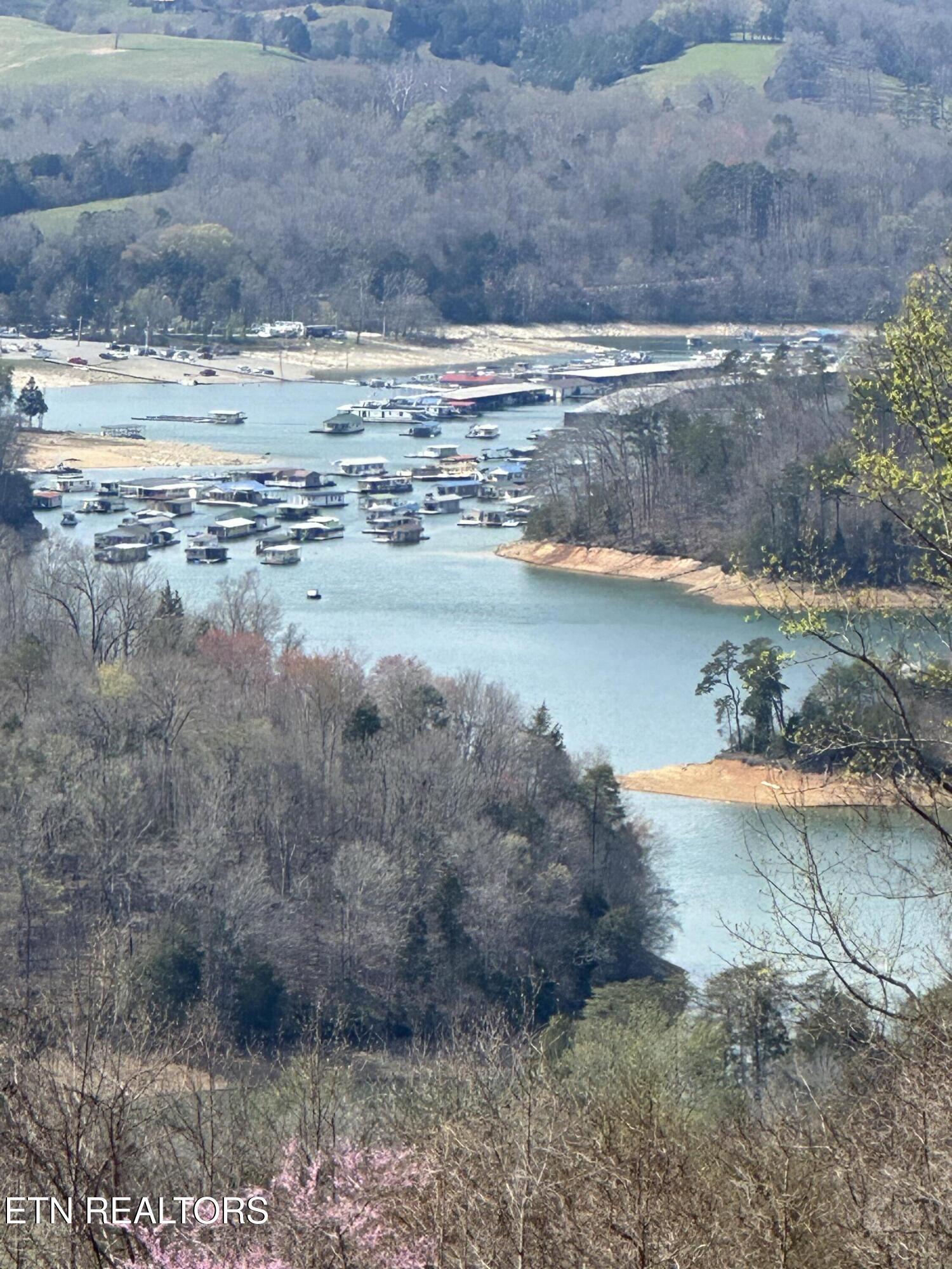 Norris Lake Real Estate - Image# 6