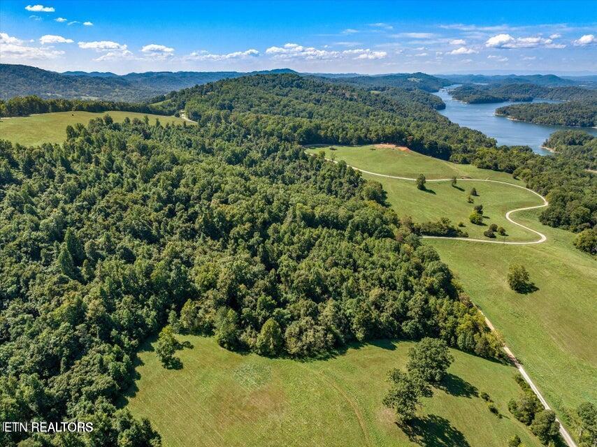 Norris Lake Real Estate - Image# 10