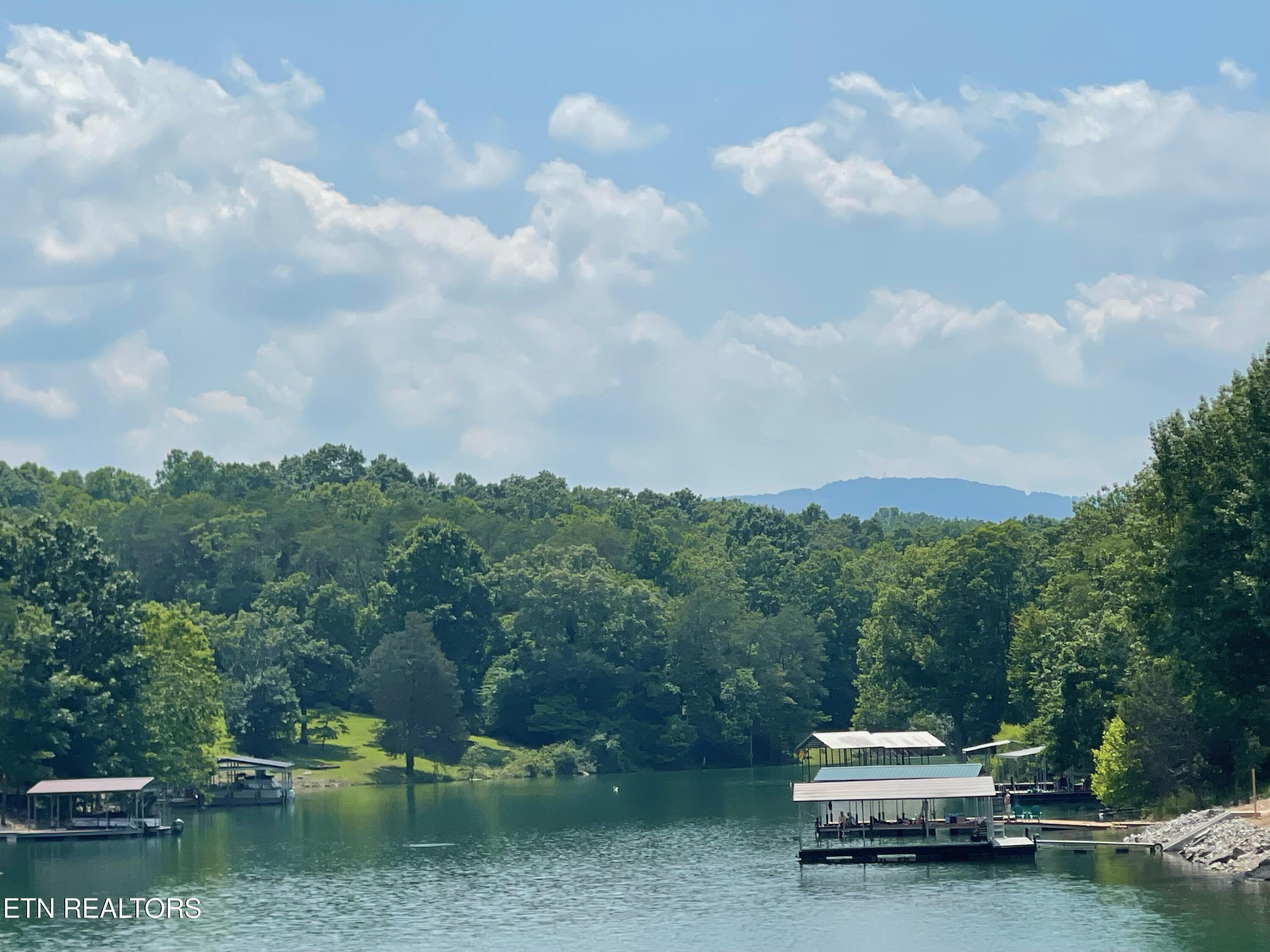 Norris Lake Real Estate - Image# 13