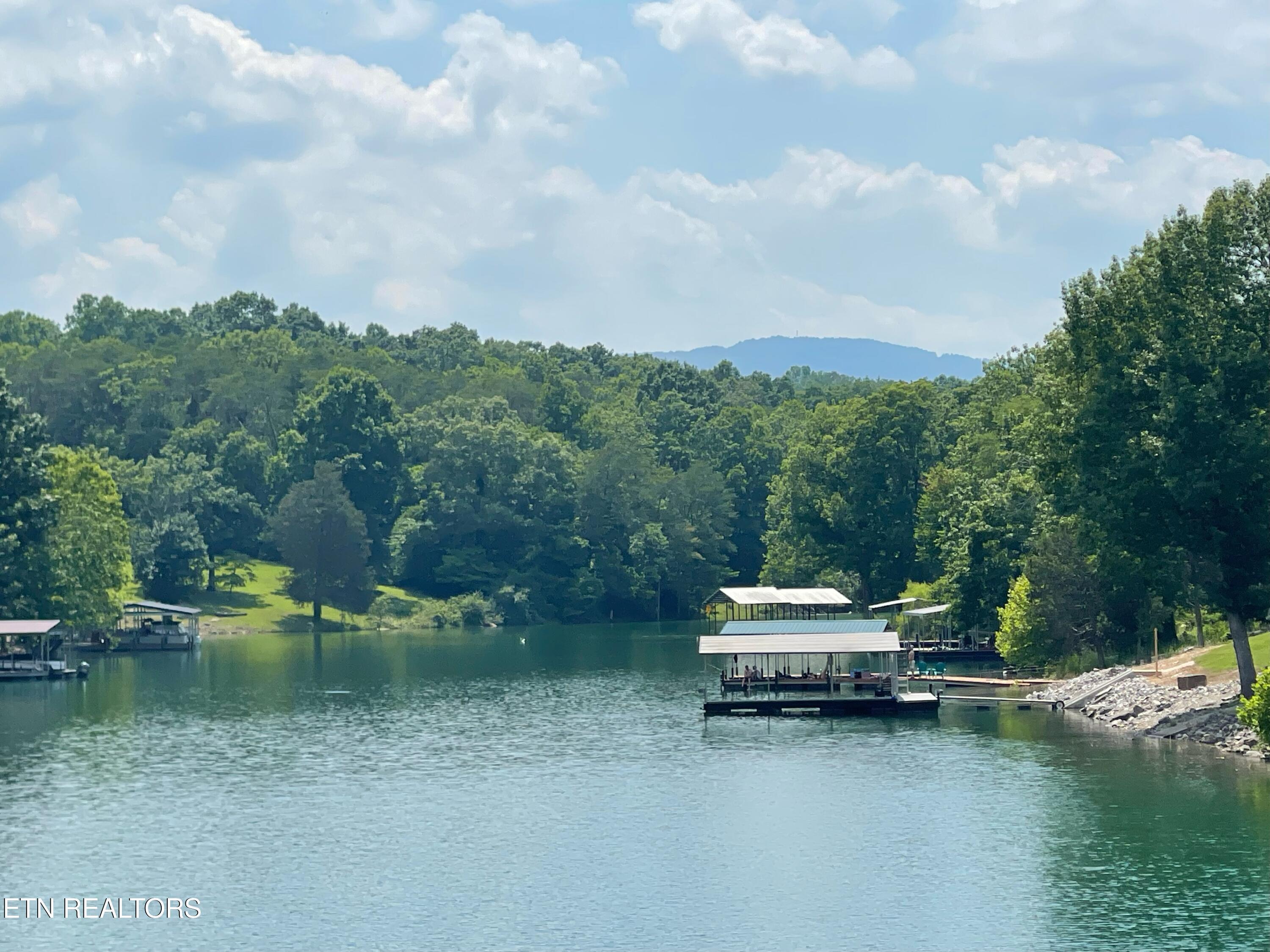 Norris Lake Real Estate - Image# 14