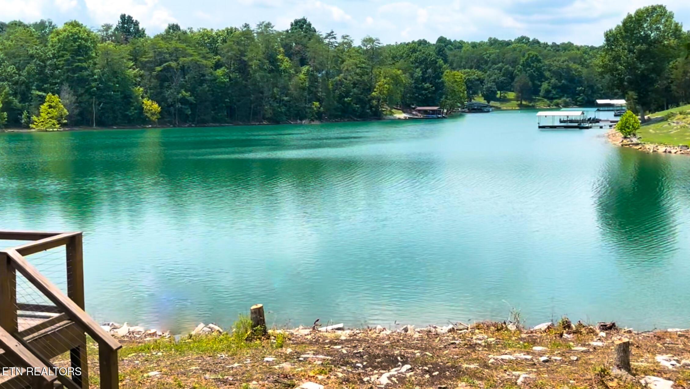 Norris Lake Real Estate - Image# 10