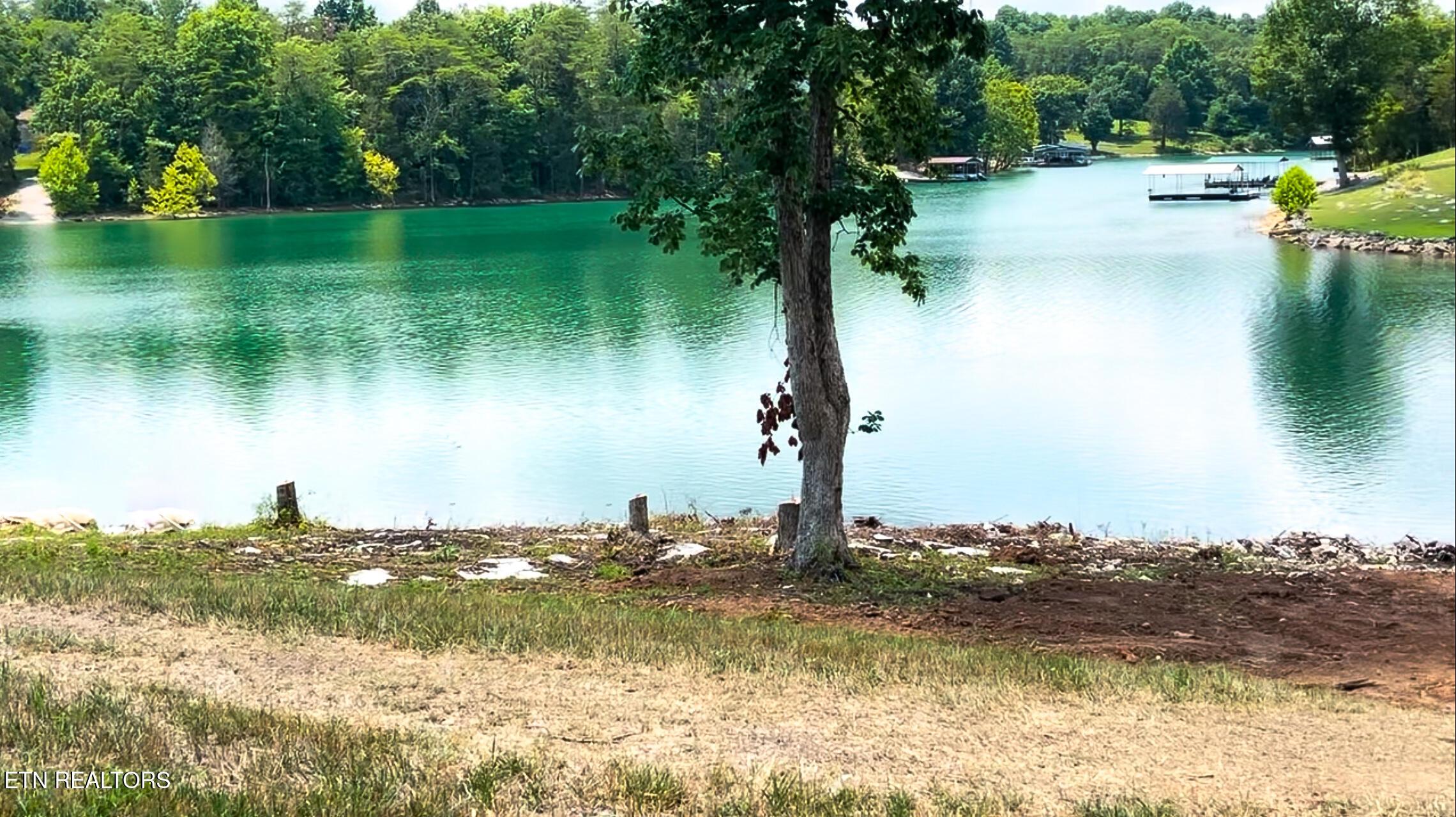 Norris Lake Real Estate - Image# 9