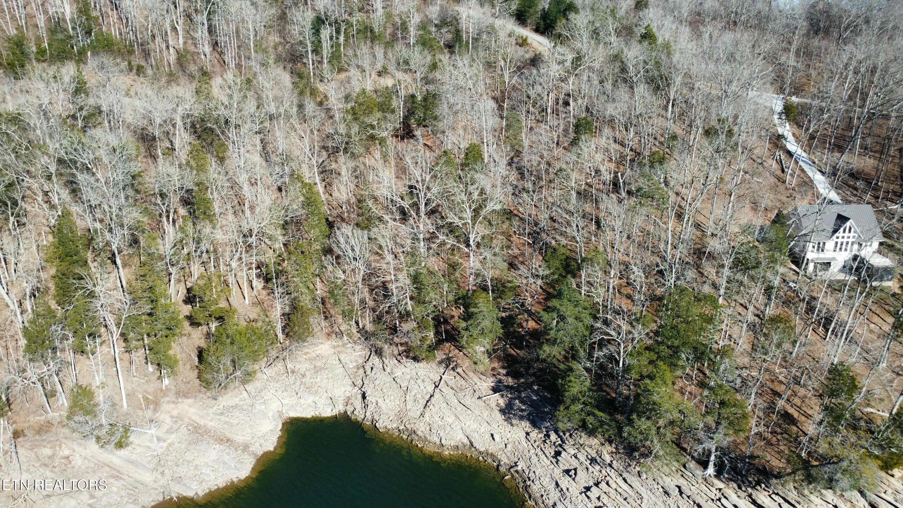 Norris Lake Real Estate - Image# 3