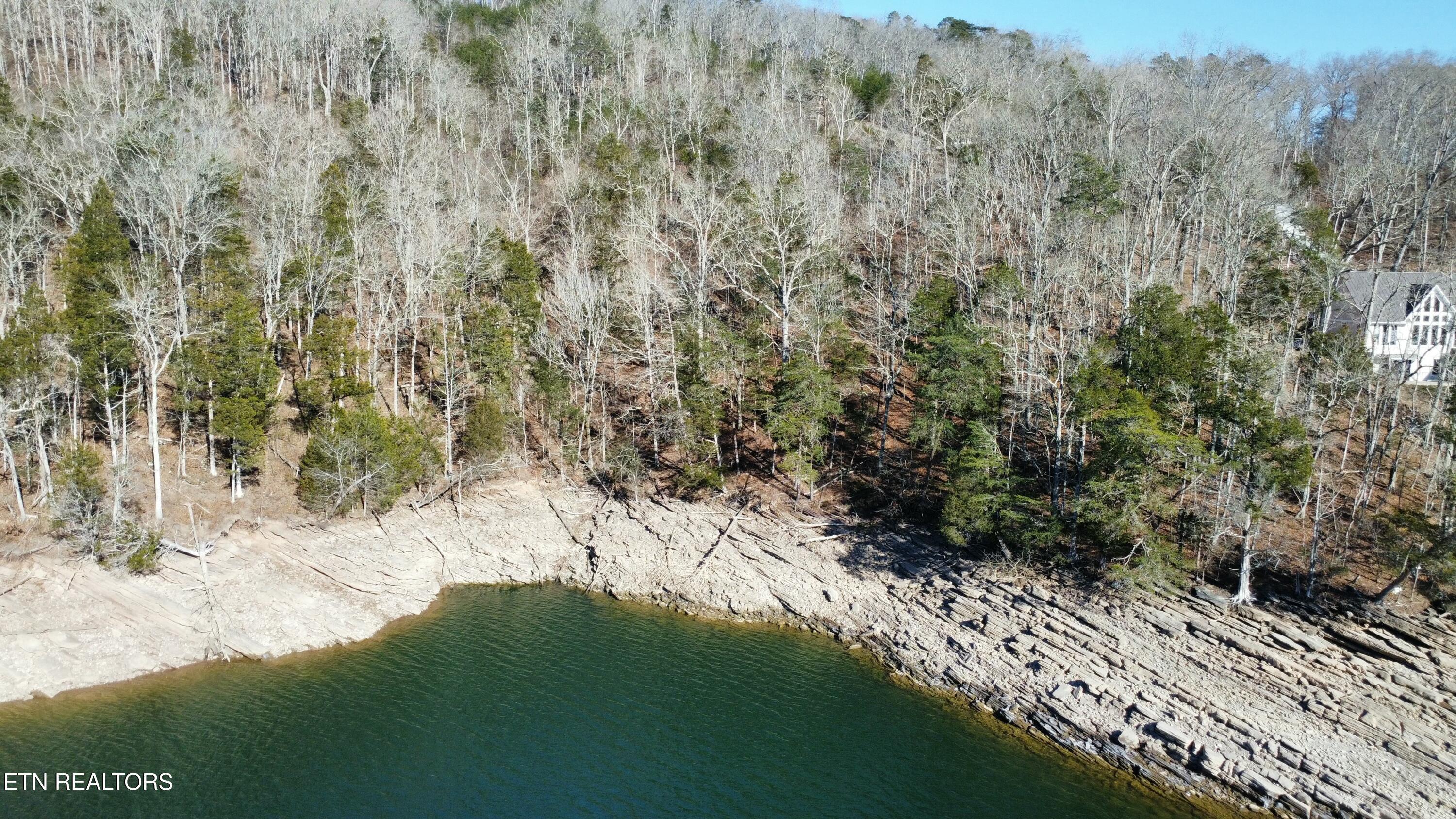 Norris Lake Real Estate - Image# 6