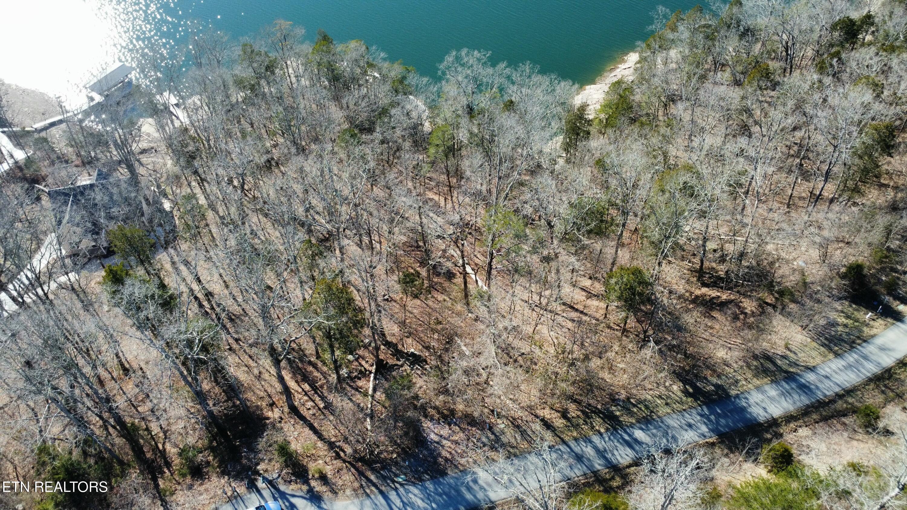 Norris Lake Real Estate - Image# 5