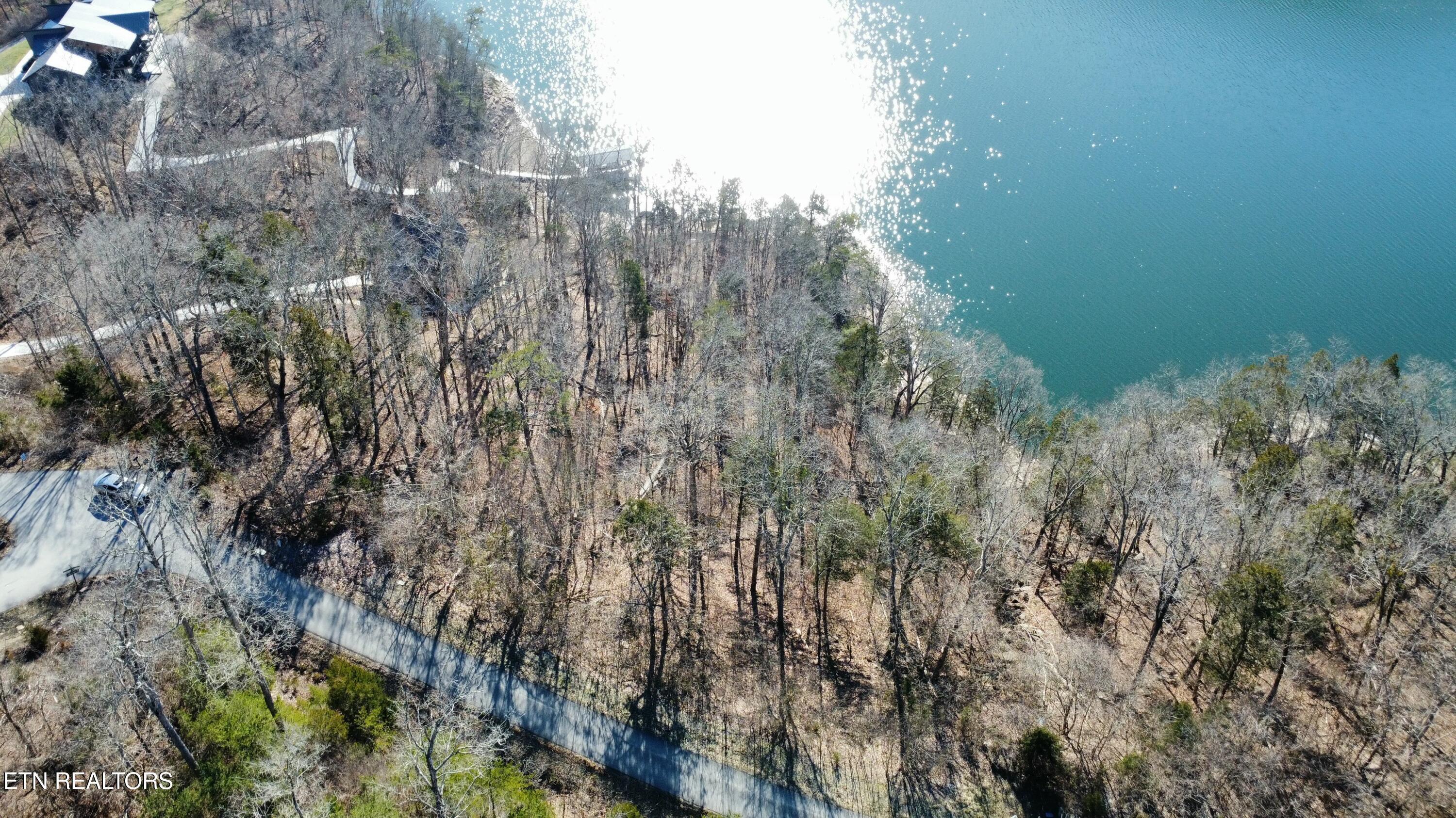 Norris Lake Real Estate - Image# 7