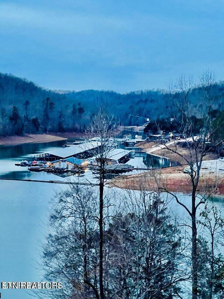 Norris Lake Real Estate - Image# 8