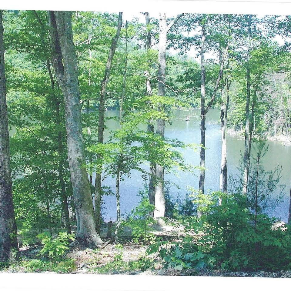 Norris Lake Real Estate - Image# 17