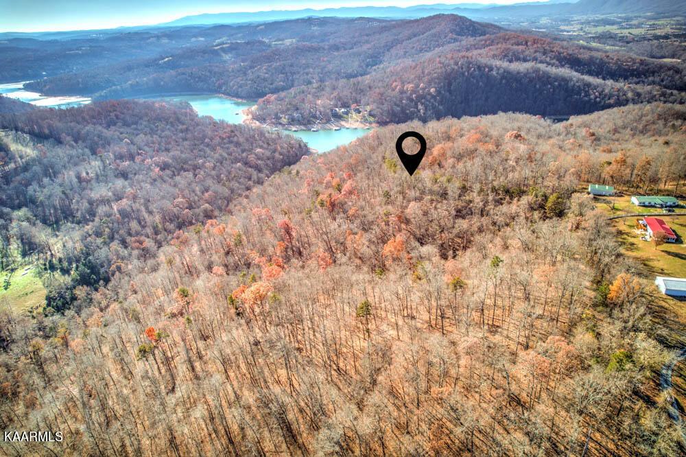 Norris Lake Real Estate - Image# 2