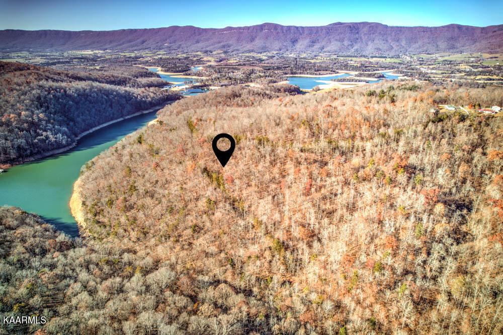 Norris Lake Real Estate - Image# 6