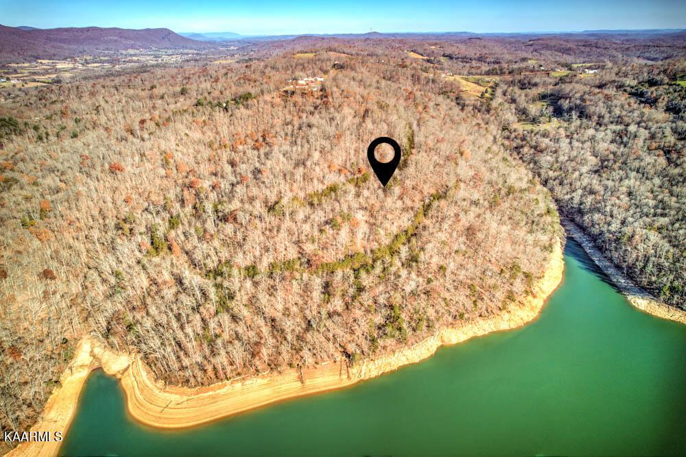 Norris Lake Real Estate - Image# 12