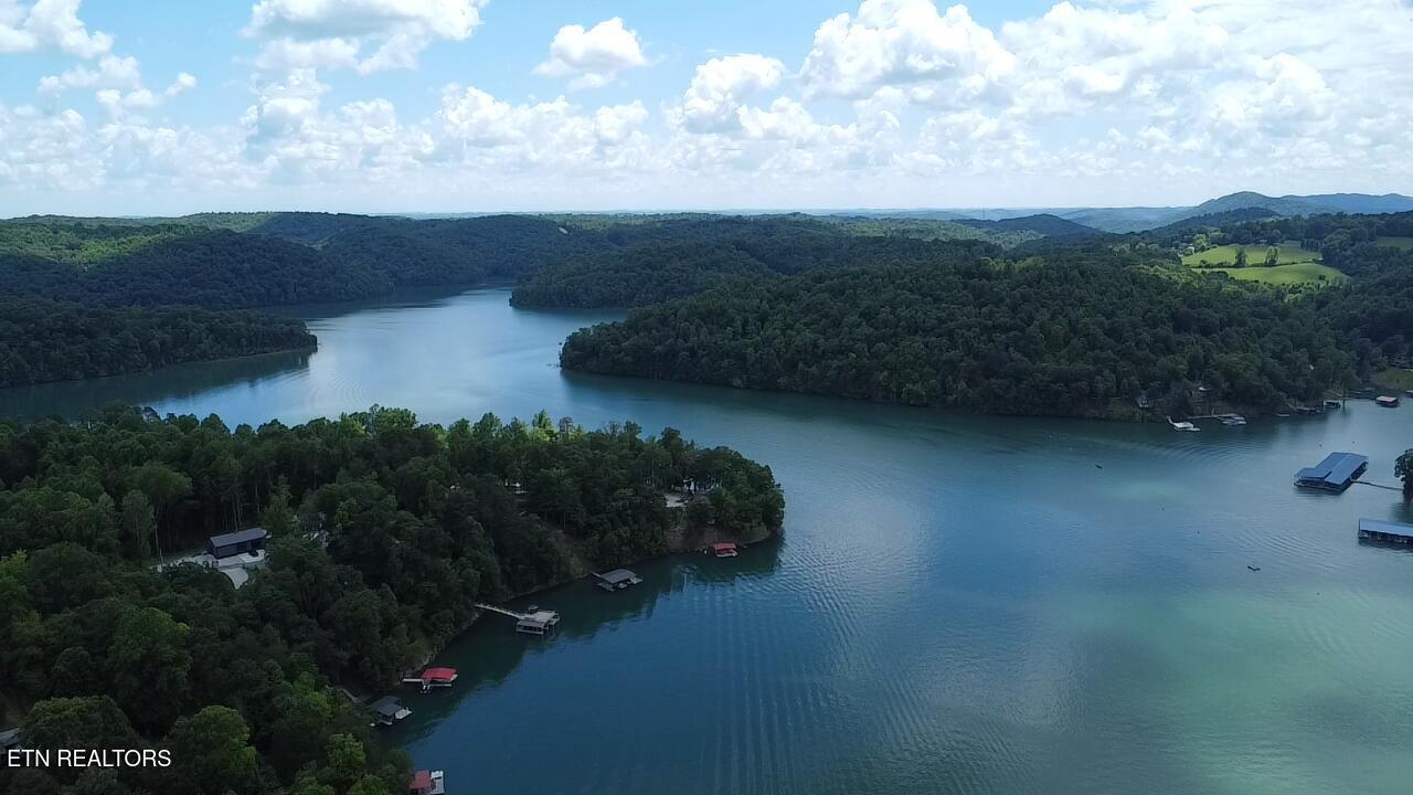 Norris Lake Real Estate - Image# 35