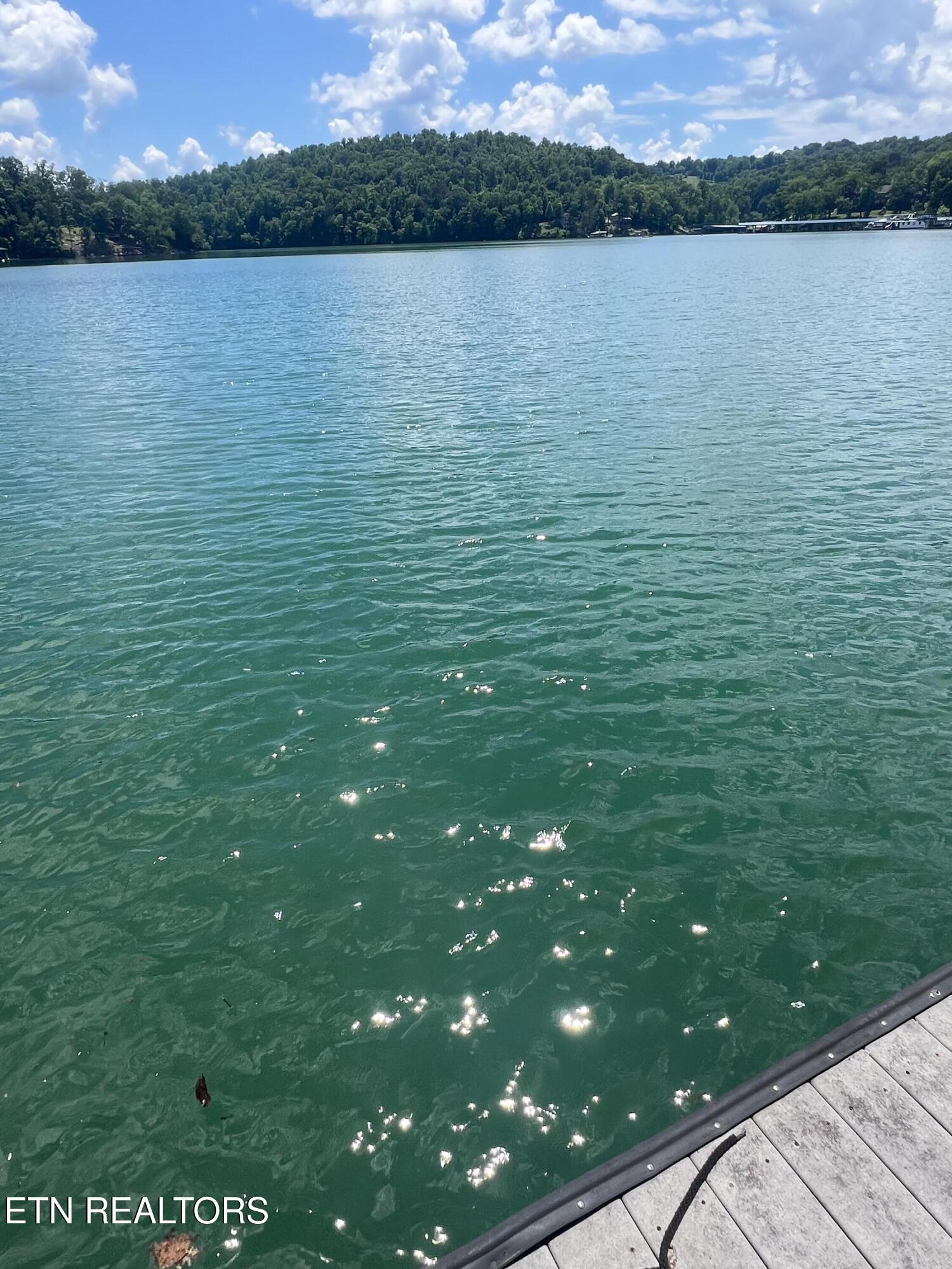 Norris Lake Real Estate - Image# 41