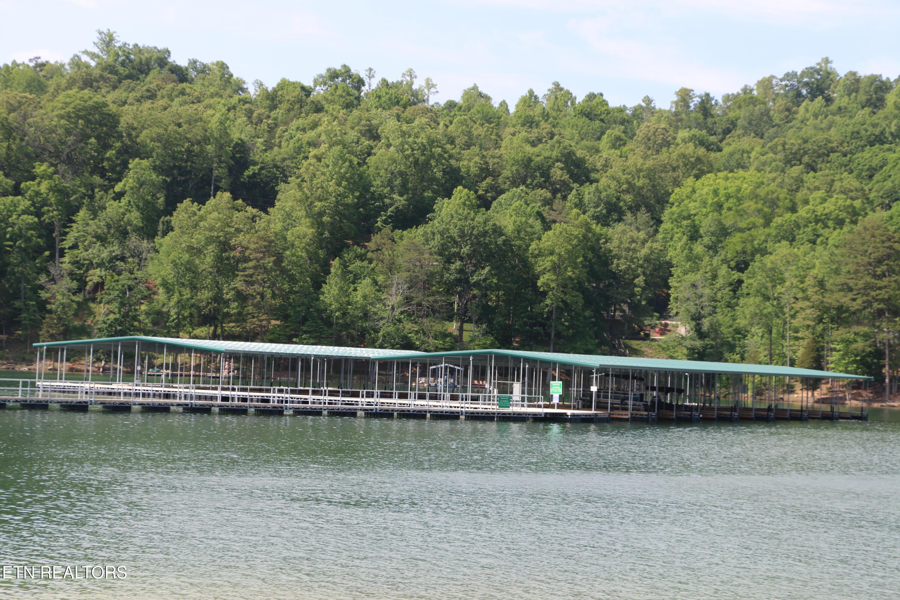 Norris Lake Real Estate - Image# 13