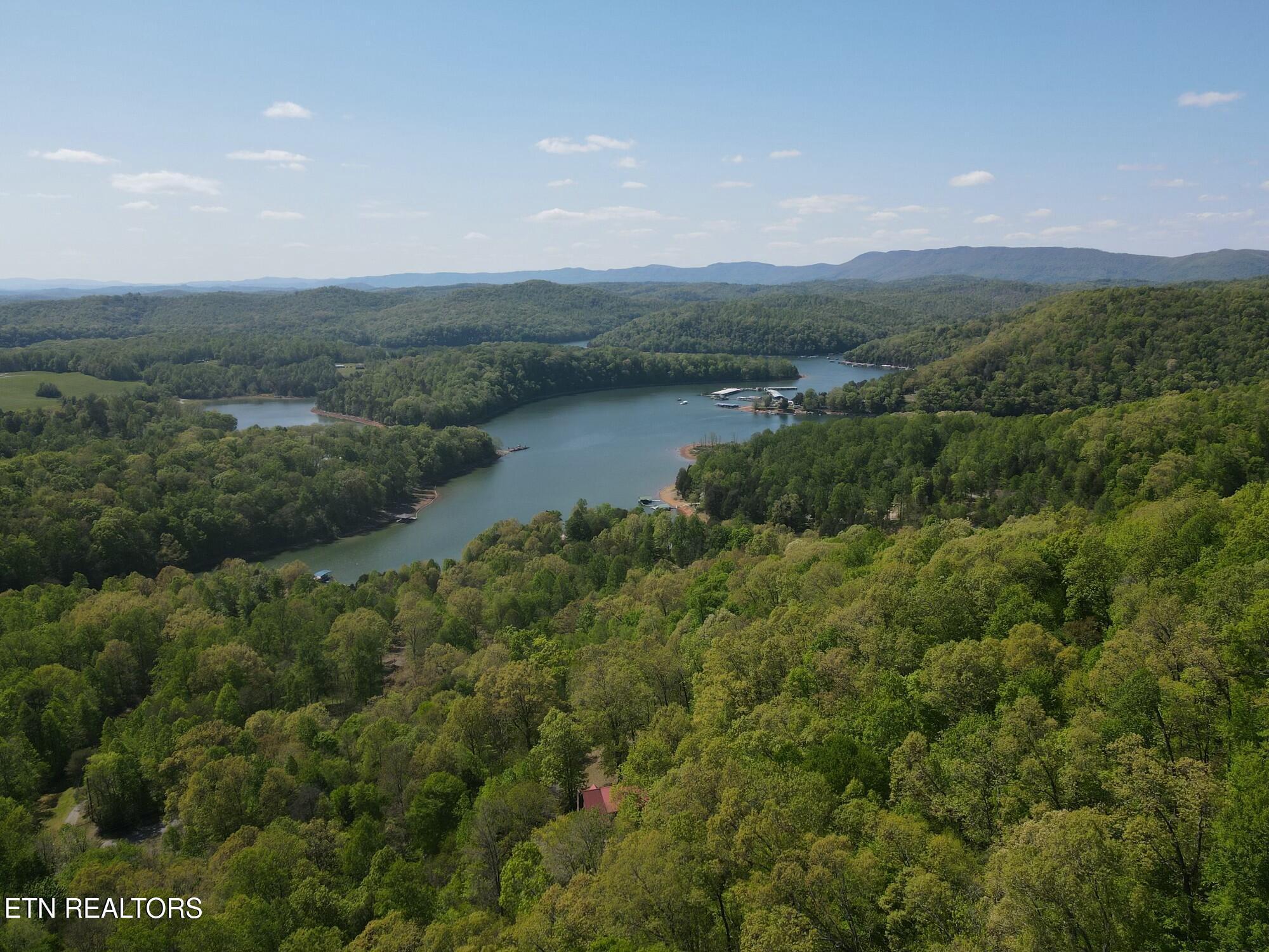 Norris Lake Real Estate - Image# 6