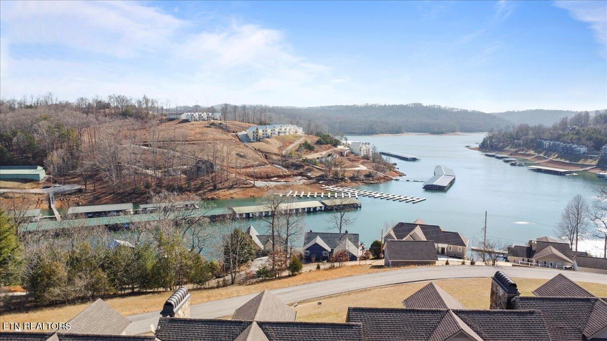 Norris Lake Real Estate - Image# 2