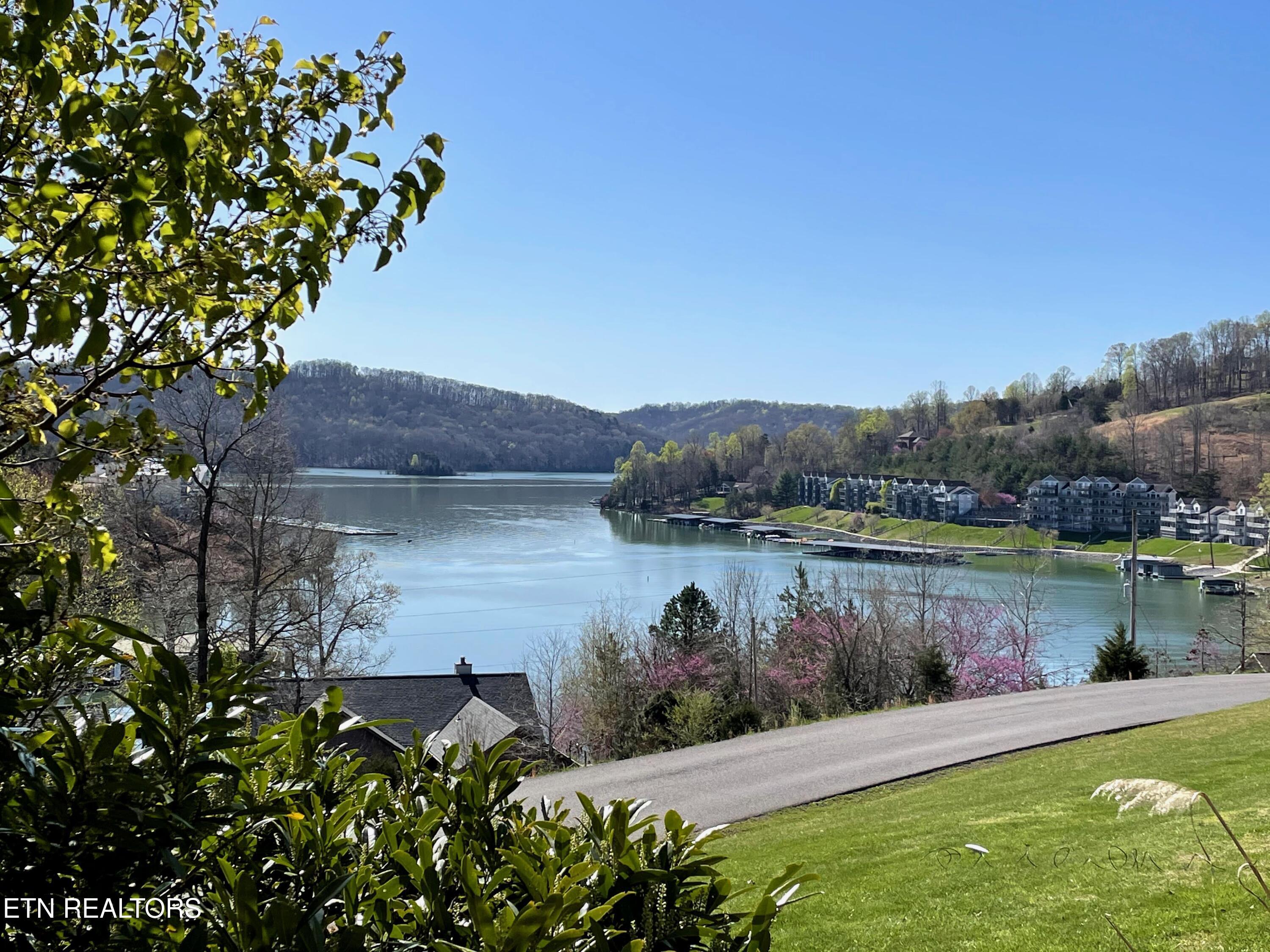 Norris Lake Real Estate - Image# 79