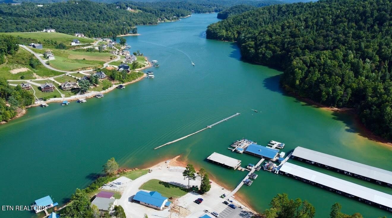 Norris Lake Real Estate - Image# 10