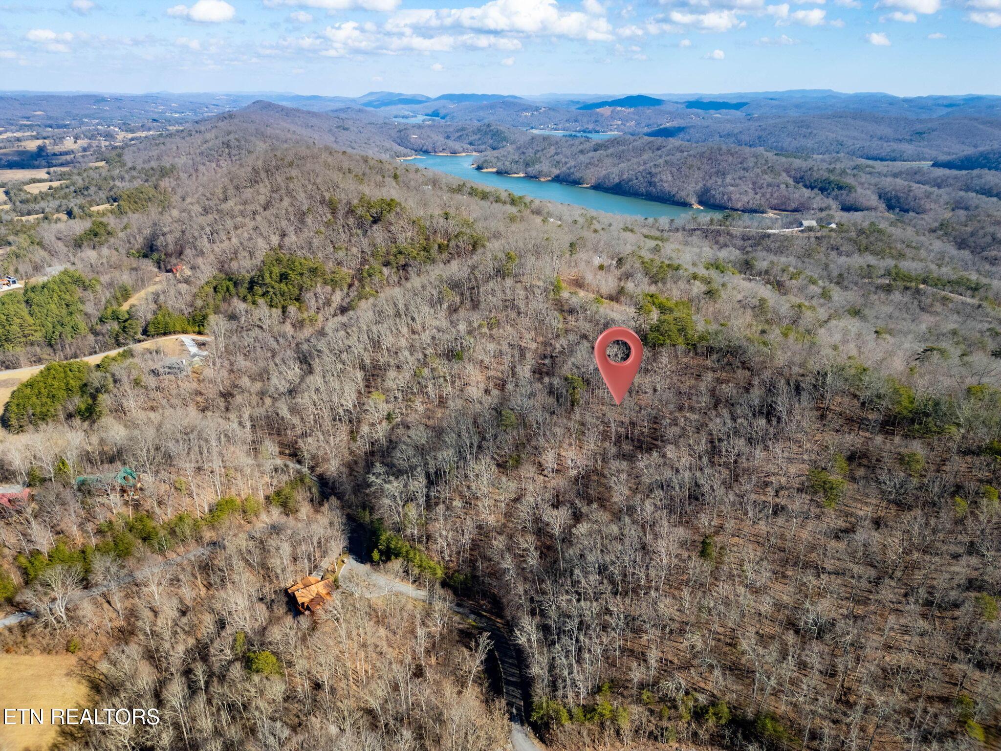 Norris Lake Real Estate - Image# 4