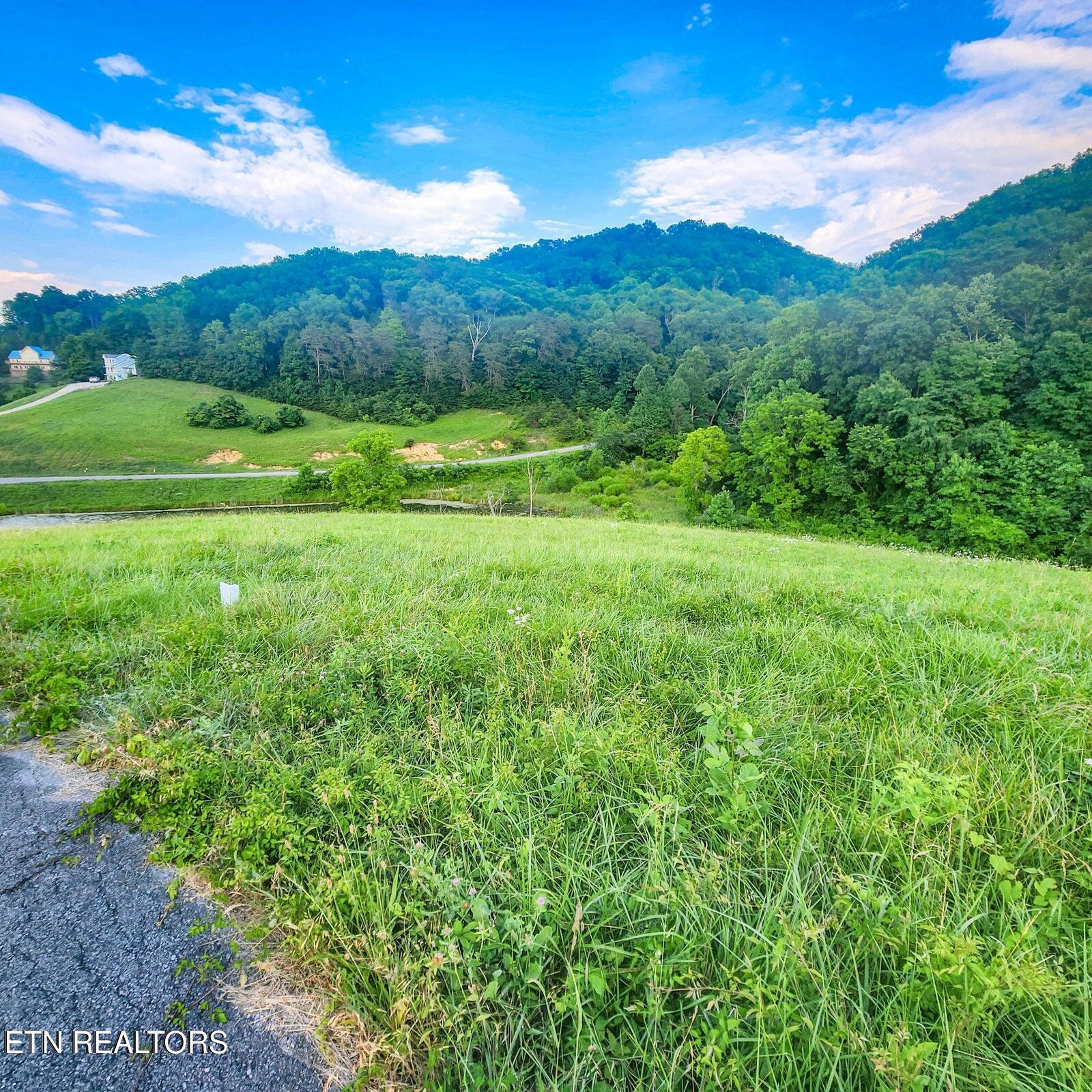 Norris Lake Real Estate - Image# 2