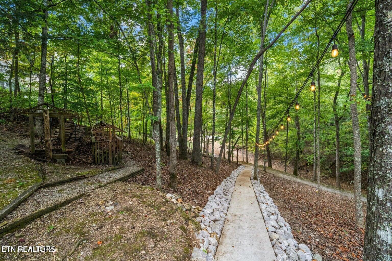 Norris Lake Real Estate - Image# 49