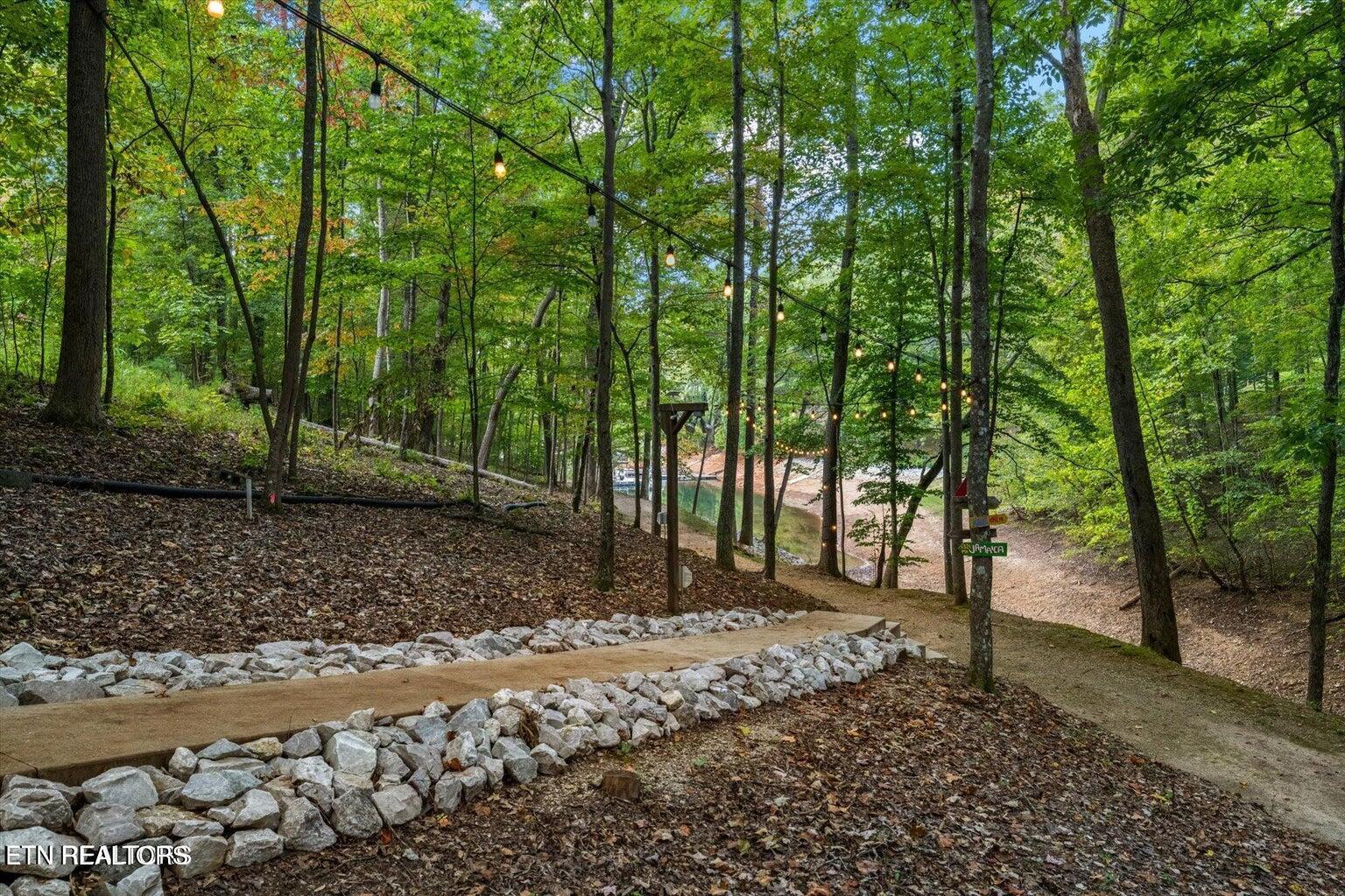 Norris Lake Real Estate - Image# 50