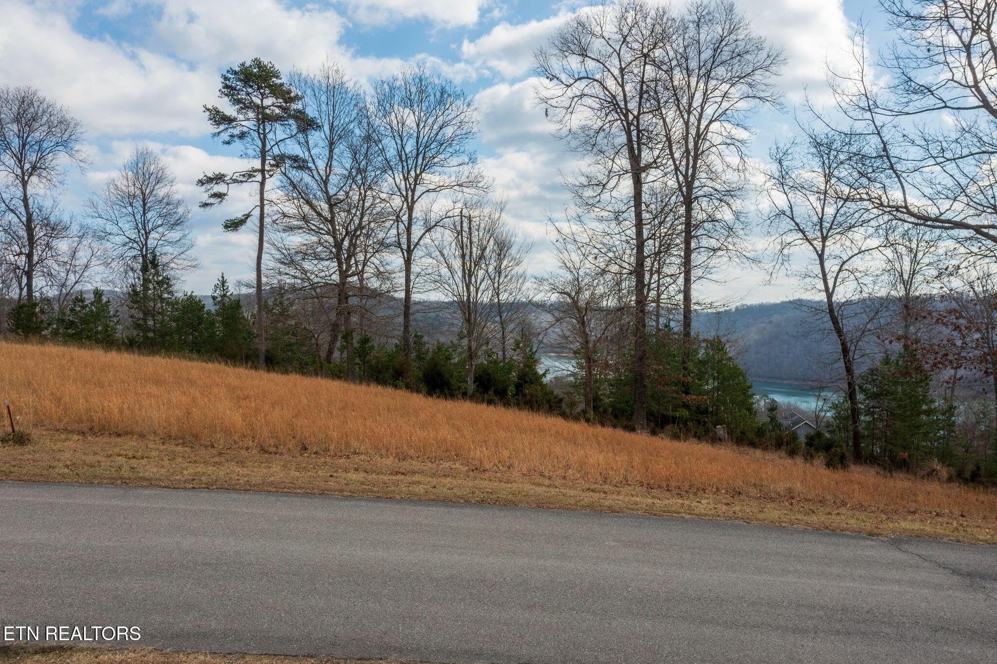 Norris Lake Real Estate - Image# 3