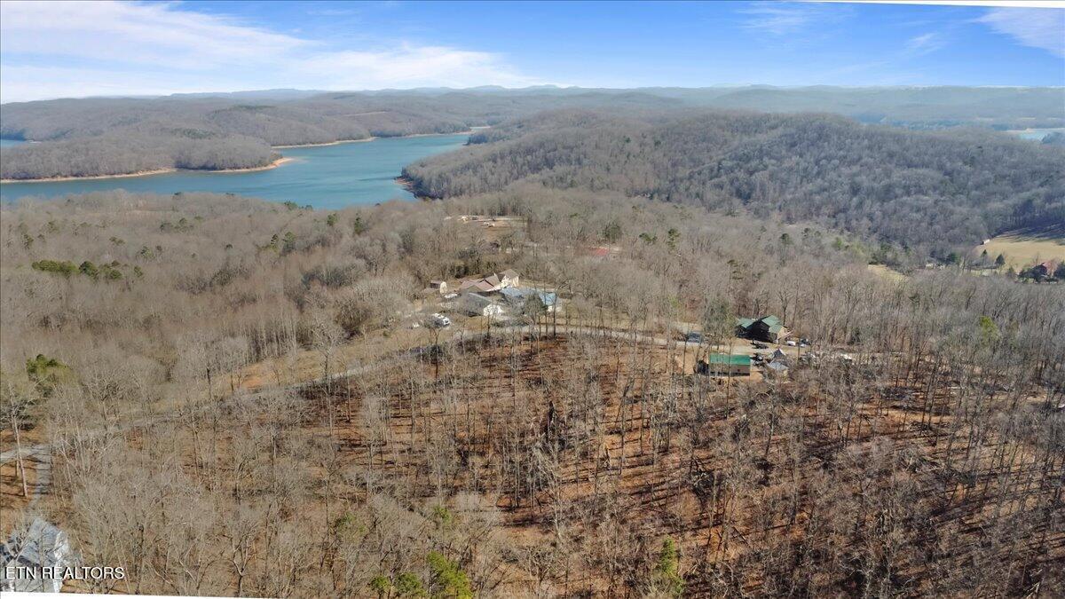 Norris Lake Real Estate - Image# 5