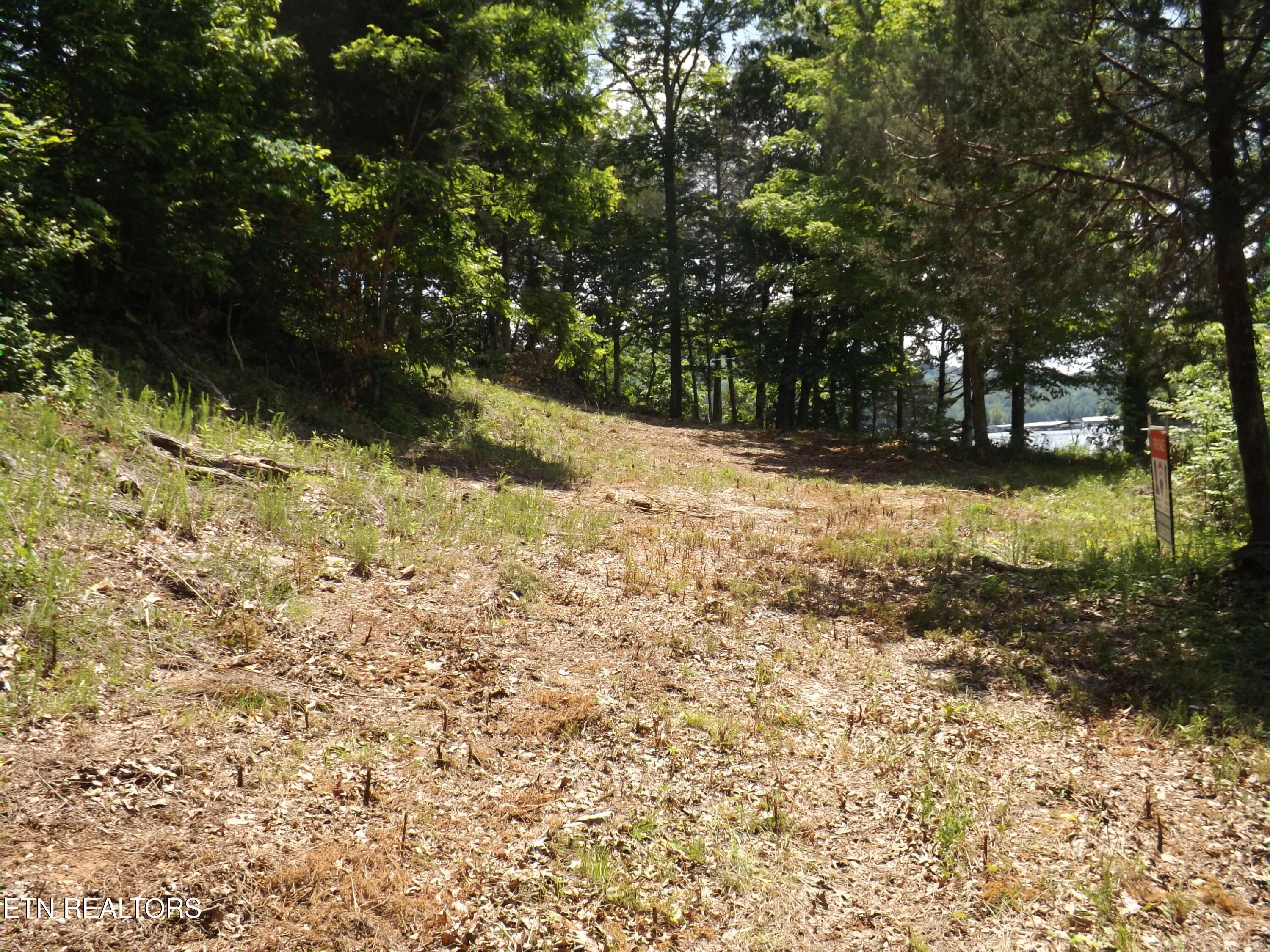 Norris Lake Real Estate - Image# 10