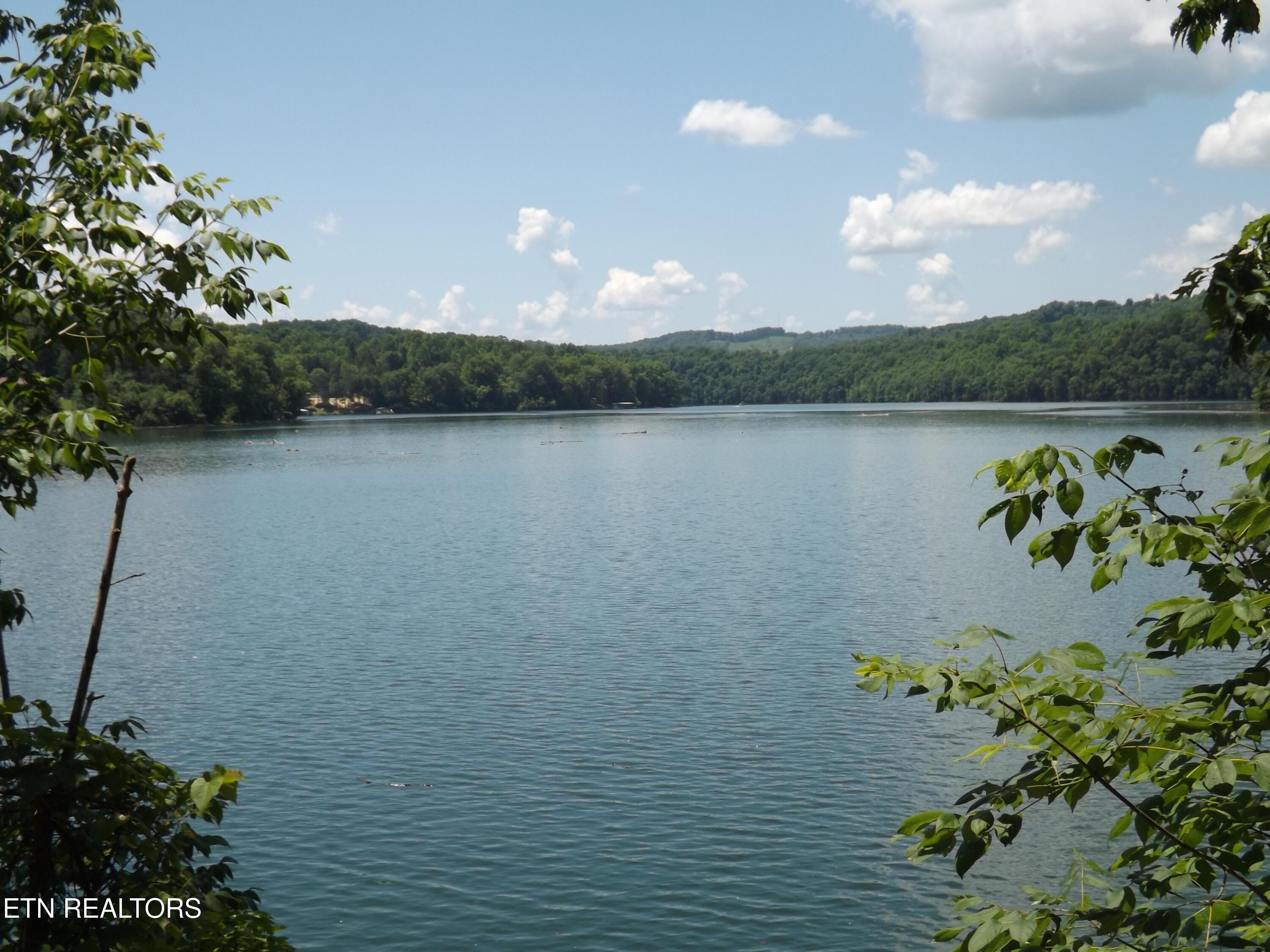 Norris Lake Real Estate - Image# 2