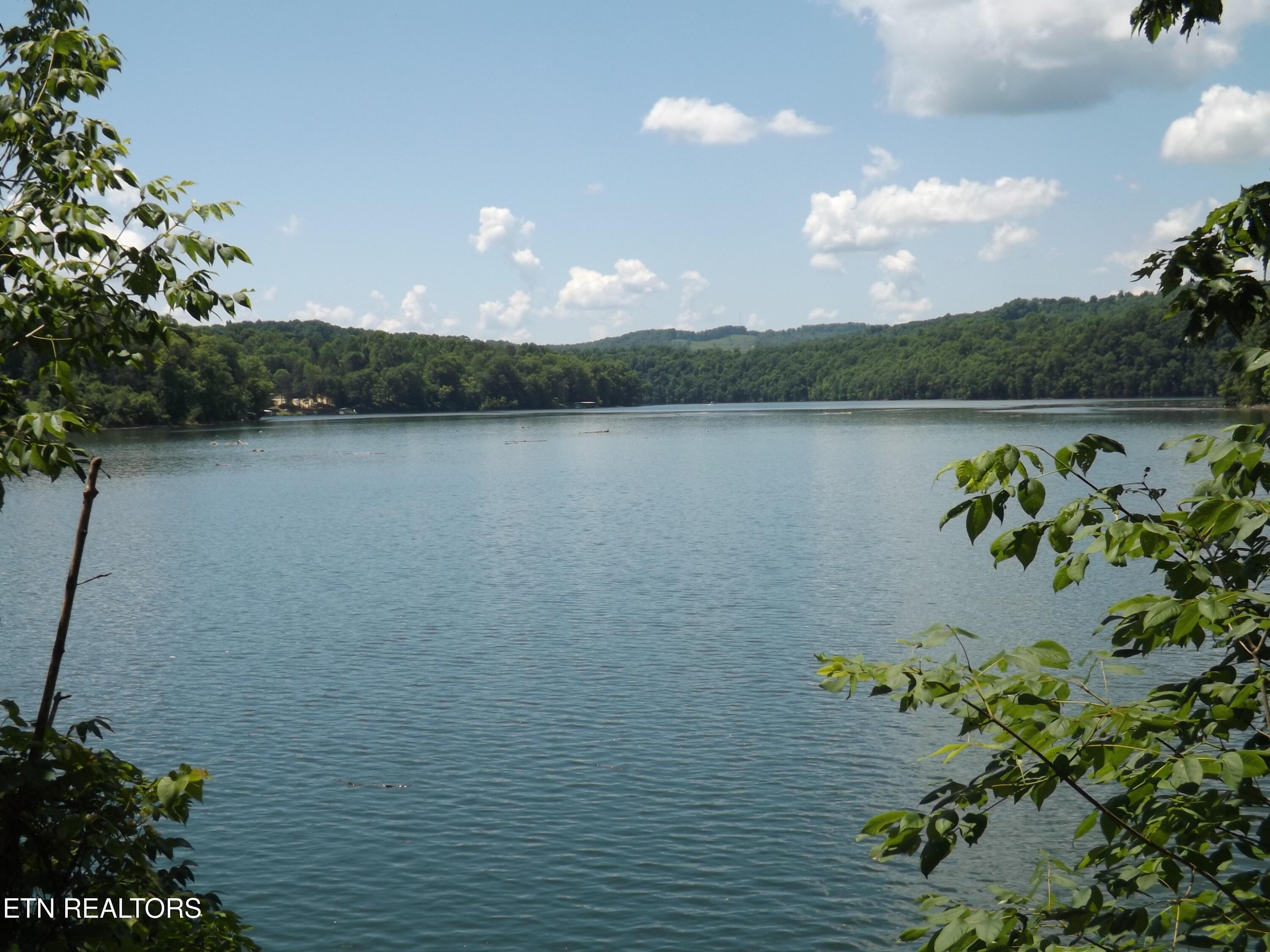 Norris Lake Real Estate - Image# 3