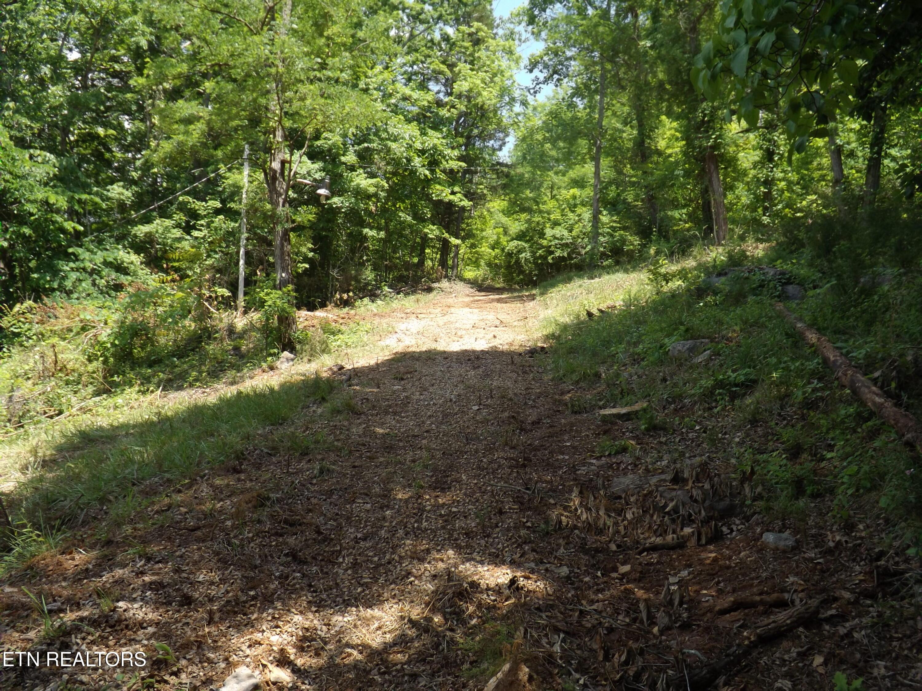 Norris Lake Real Estate - Image# 15